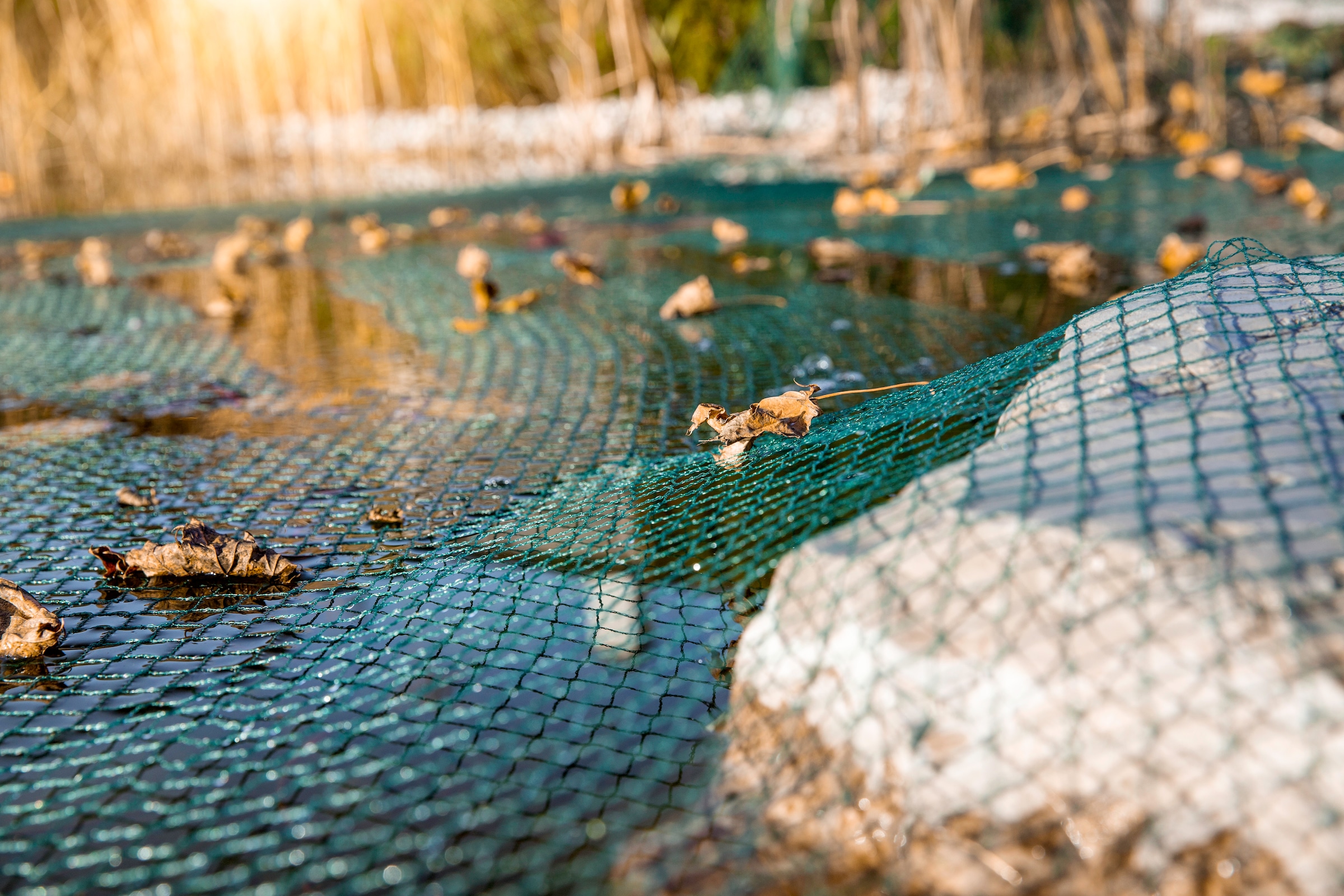 Windhager Schutznetz »für Teiche und Wasserbehälter, Laubschutz-Netz Maschenweite 17 mm« Abdecknetz erhältlich in unterschiedlichen Größen, grün