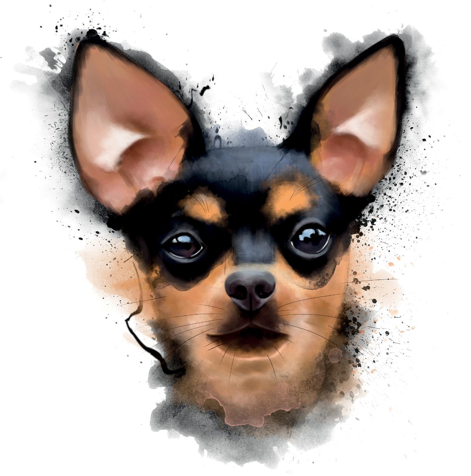 queence Dekokissen »Zwergpintscher« Kissenhülle ohne Füllung, 1 Stück