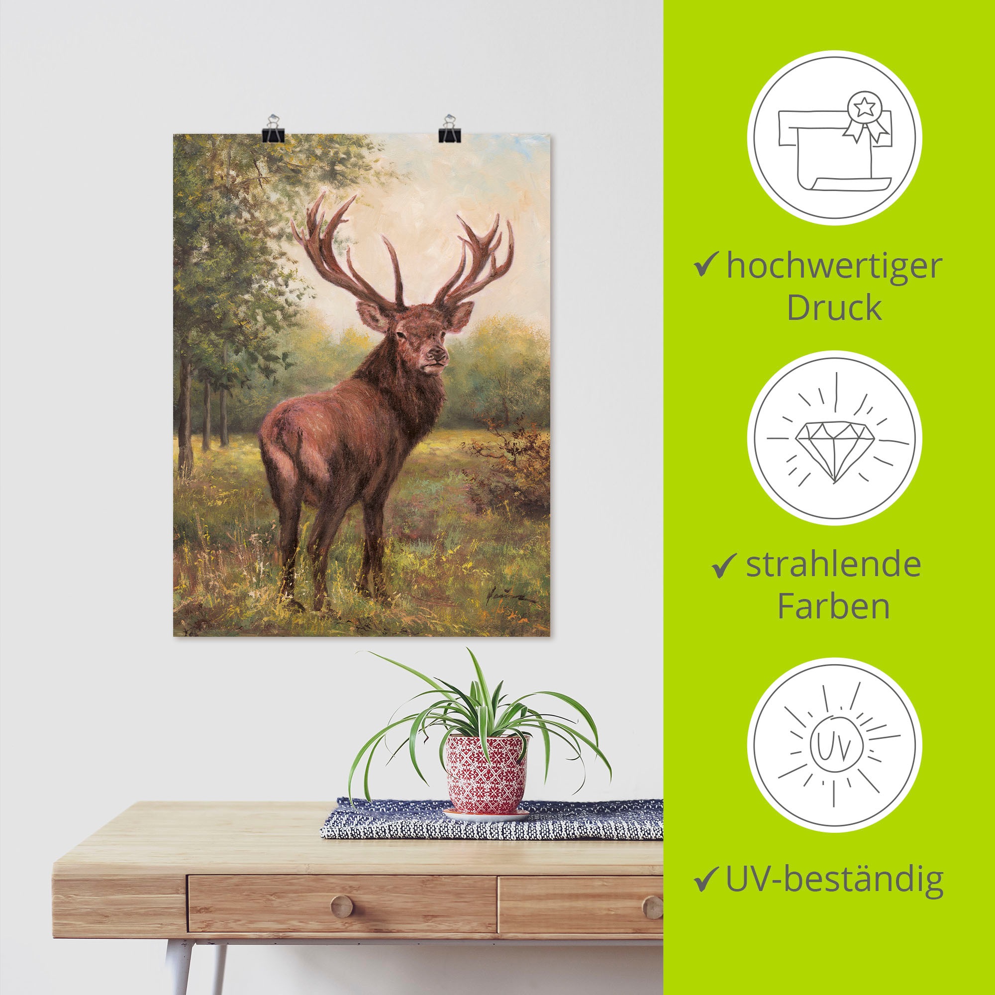 Artland Wandbild »Hirsch« Wildtiere 1 Stk. tlg. als Leinwandbild, Poster in verschied. Größen