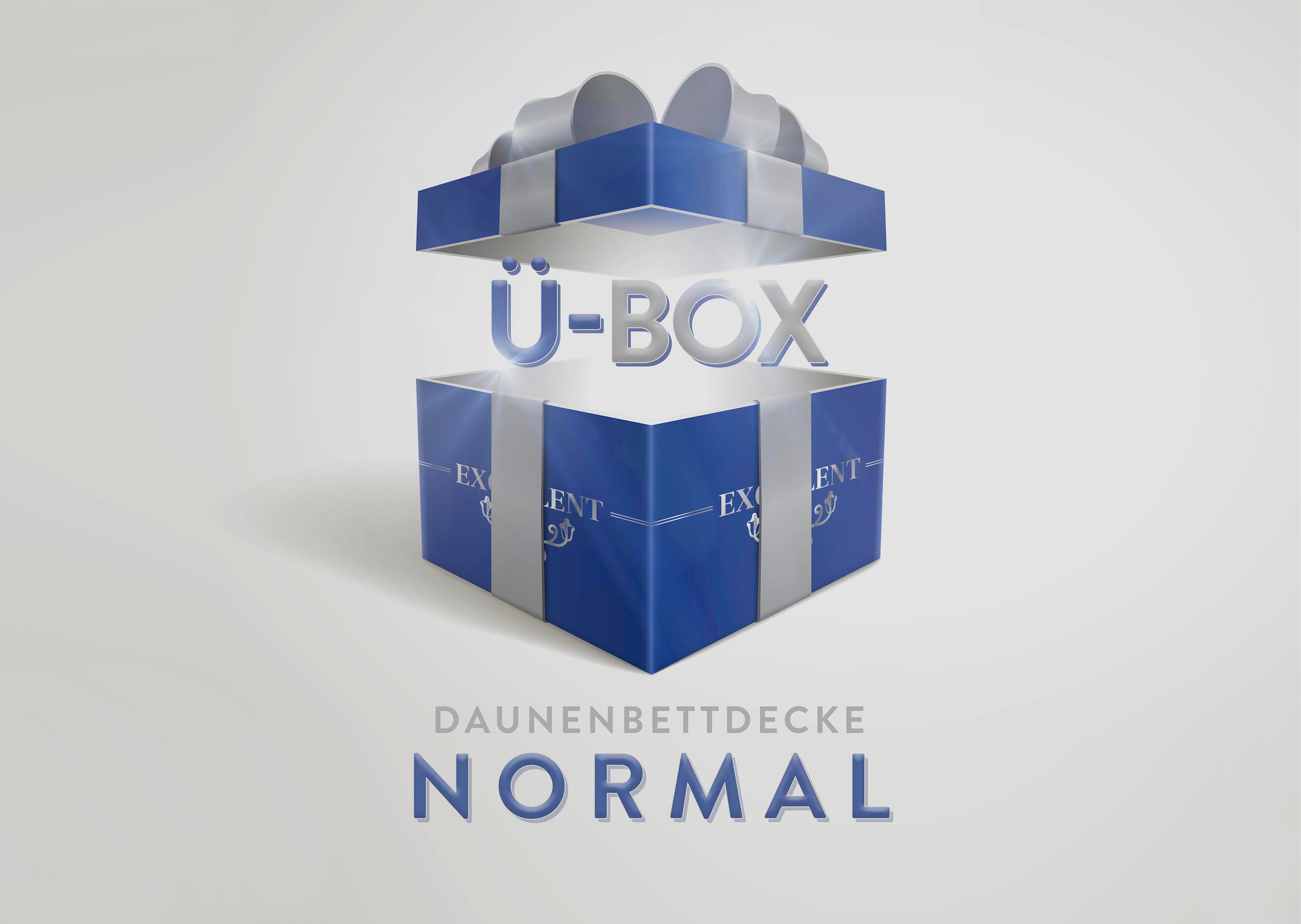 Excellent Daunenbettdecke "Überraschungsbox", normal, Füllung 90% Daunen, 10% Federn, Bezug Baumwolle, (1 St.), absolute