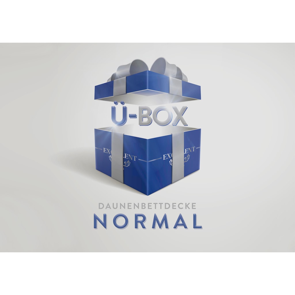 Excellent Daunenbettdecke »Überraschungsbox«, normal, Füllung 90% Daunen, 10% Federn, Bezug Baumwolle, (1 St.)