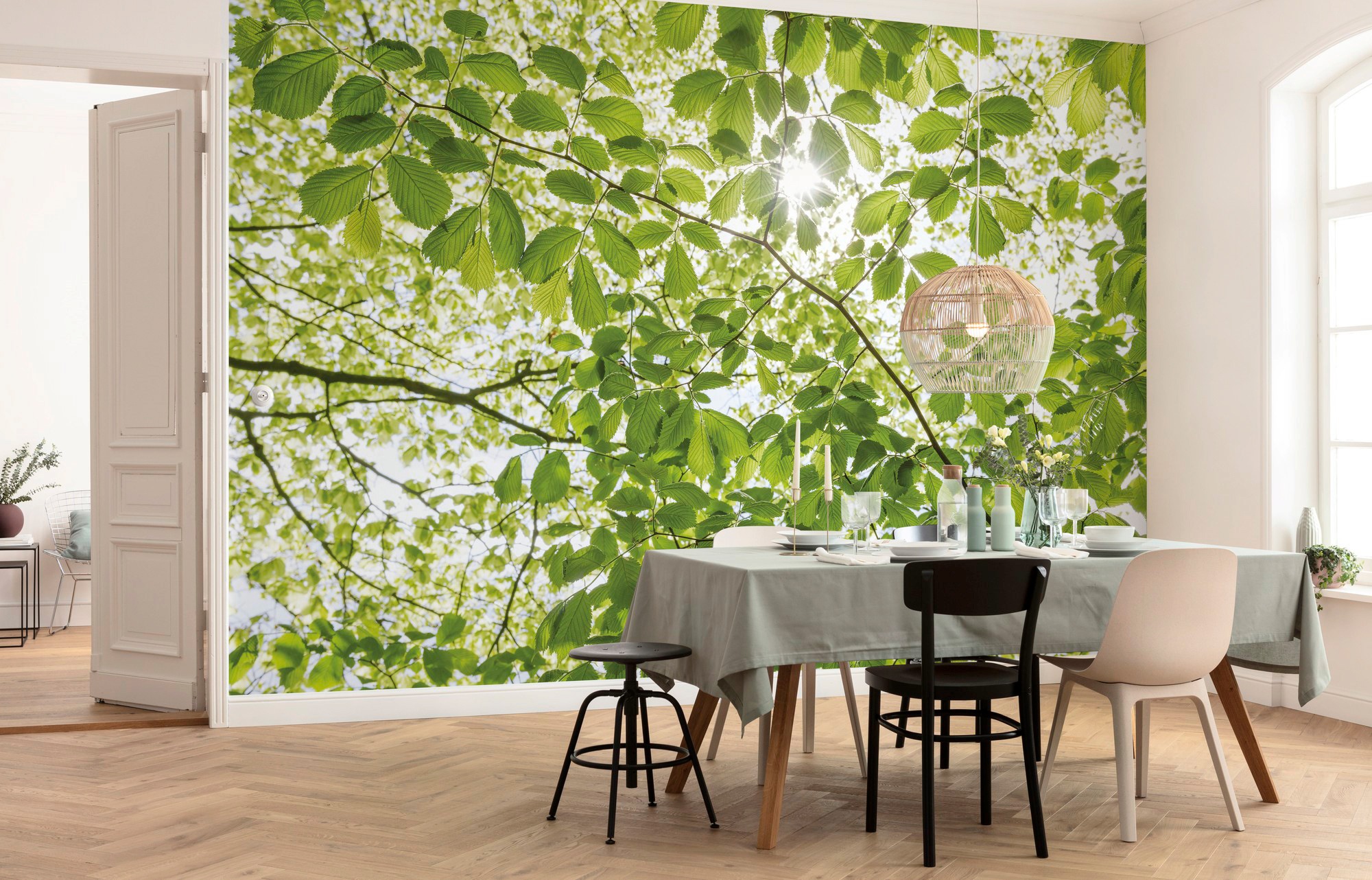 Komar Vliestapete »Digitaldruck Vlies - Im Frühlingswald - Größe 450 x 280 cm«, bedruckt, Wohnzimmer, Schlafzimmer
