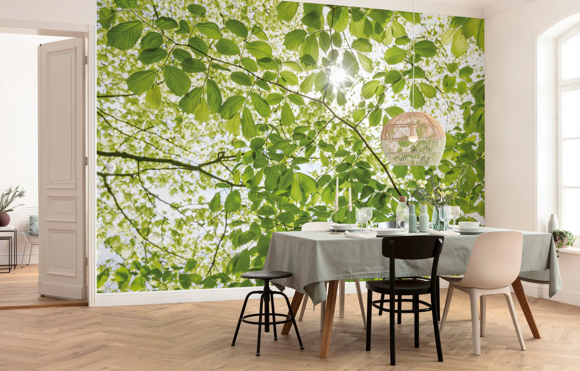 Komar Vliestapete "Digitaldruck Vlies - Im Frühlingswald - Größe 450 x 280 cm" bedruckt glatt Wohnzimmer, Schlafzimmer