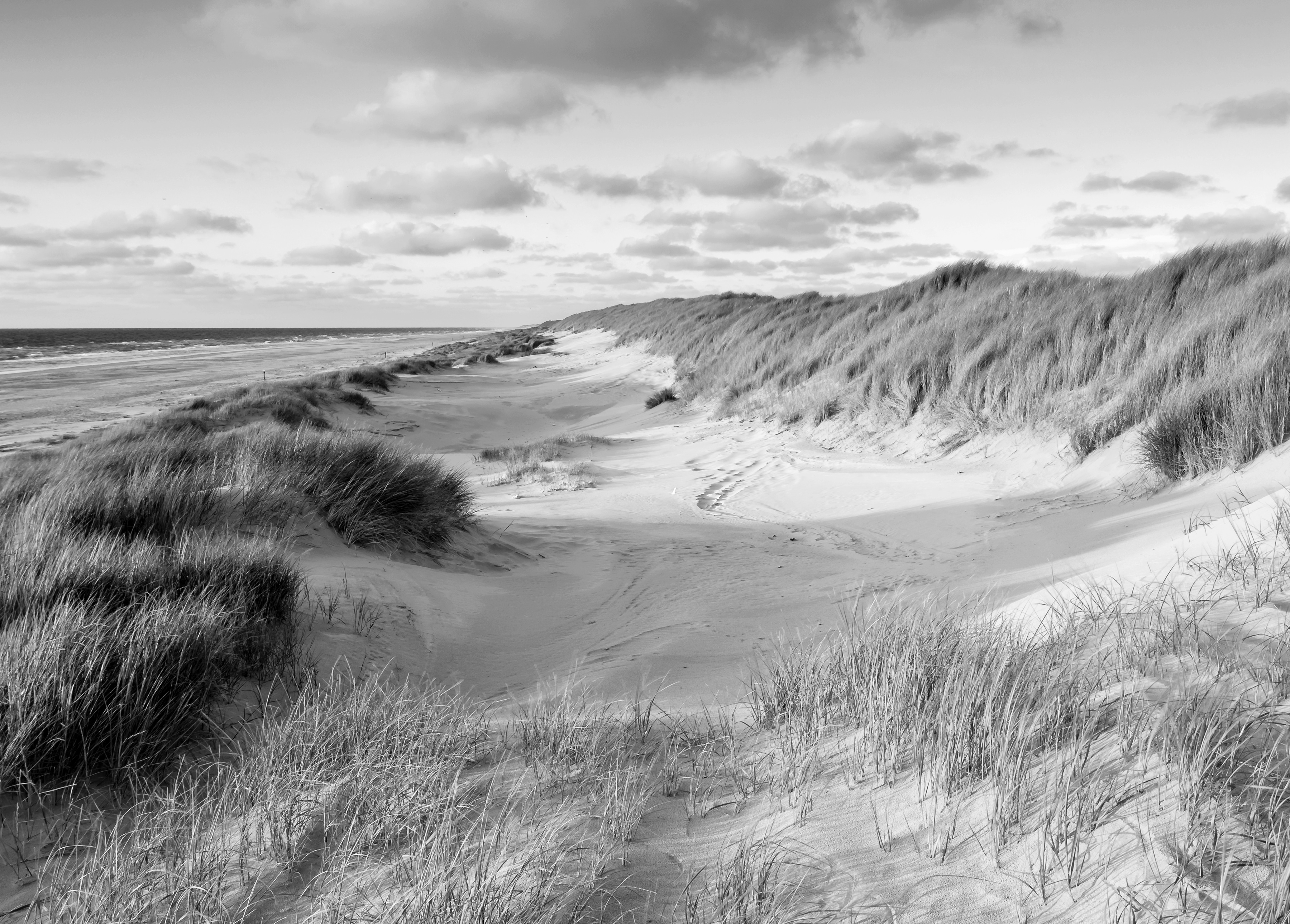 Papermoon Fototapete "Strand Schwarz & Weiß"