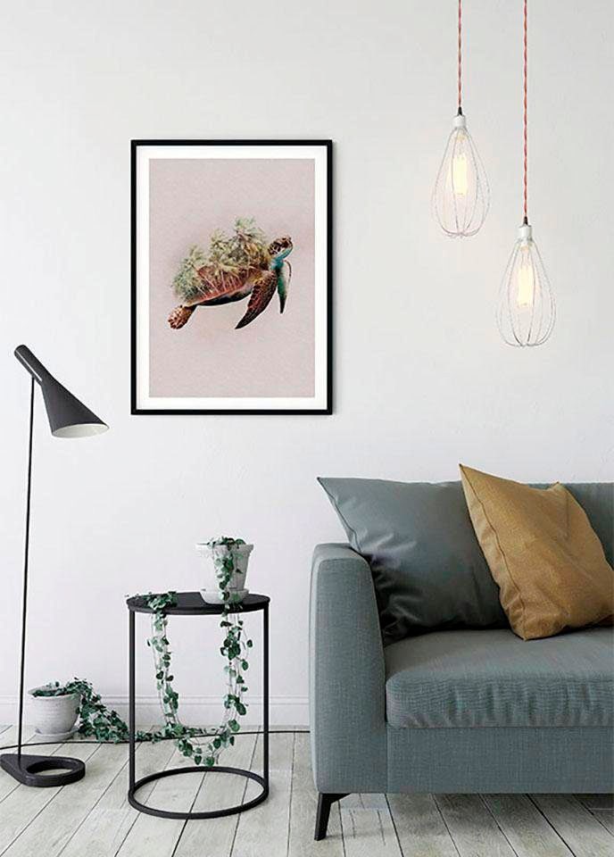 Komar Poster »Animals Paradise Turtle«, Tiere, (1 St.), Kinderzimmer, Schlafzimmer, Wohnzimmer