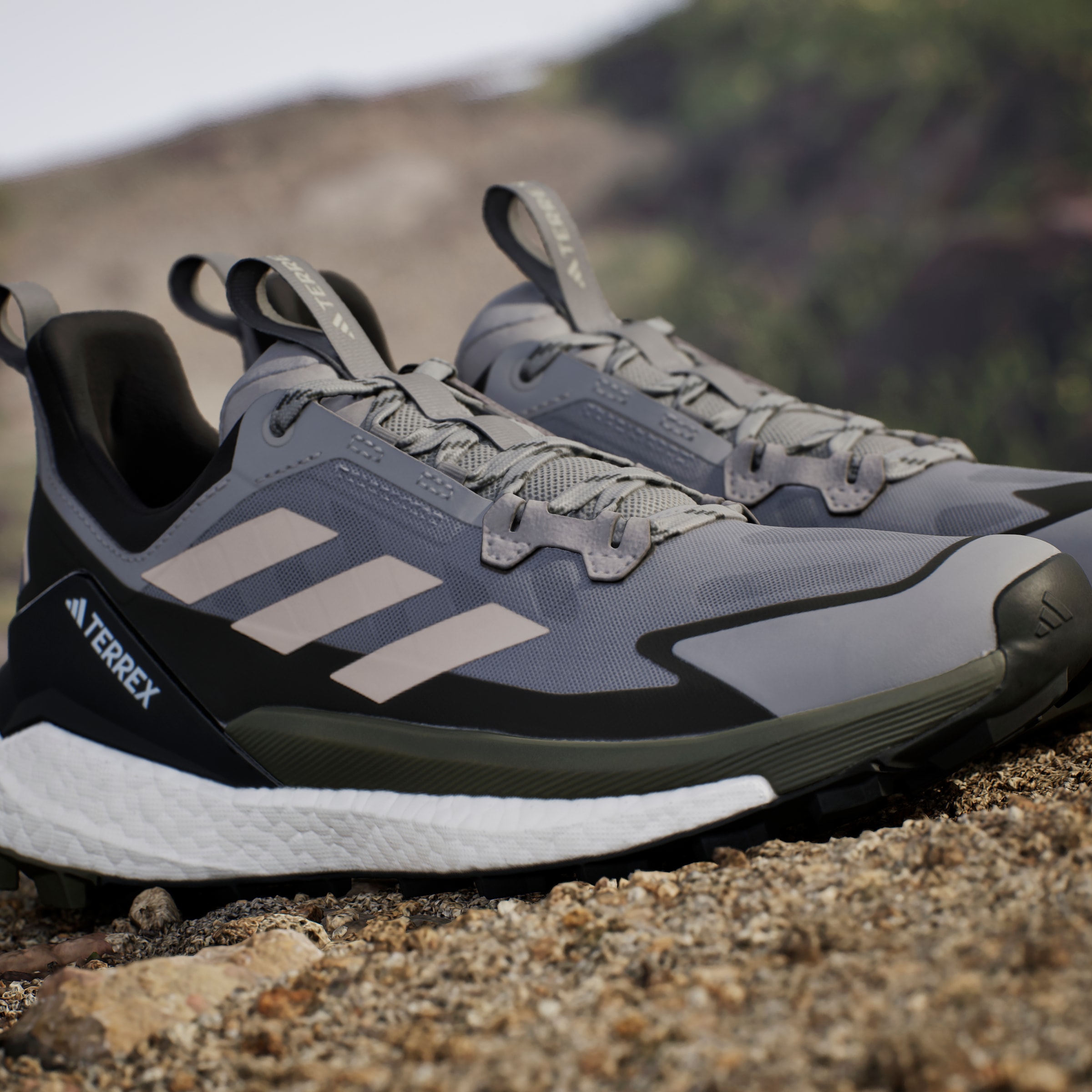 adidas TERREX Wanderschuh »TERREX FREE HIKER 2.0 LOW«