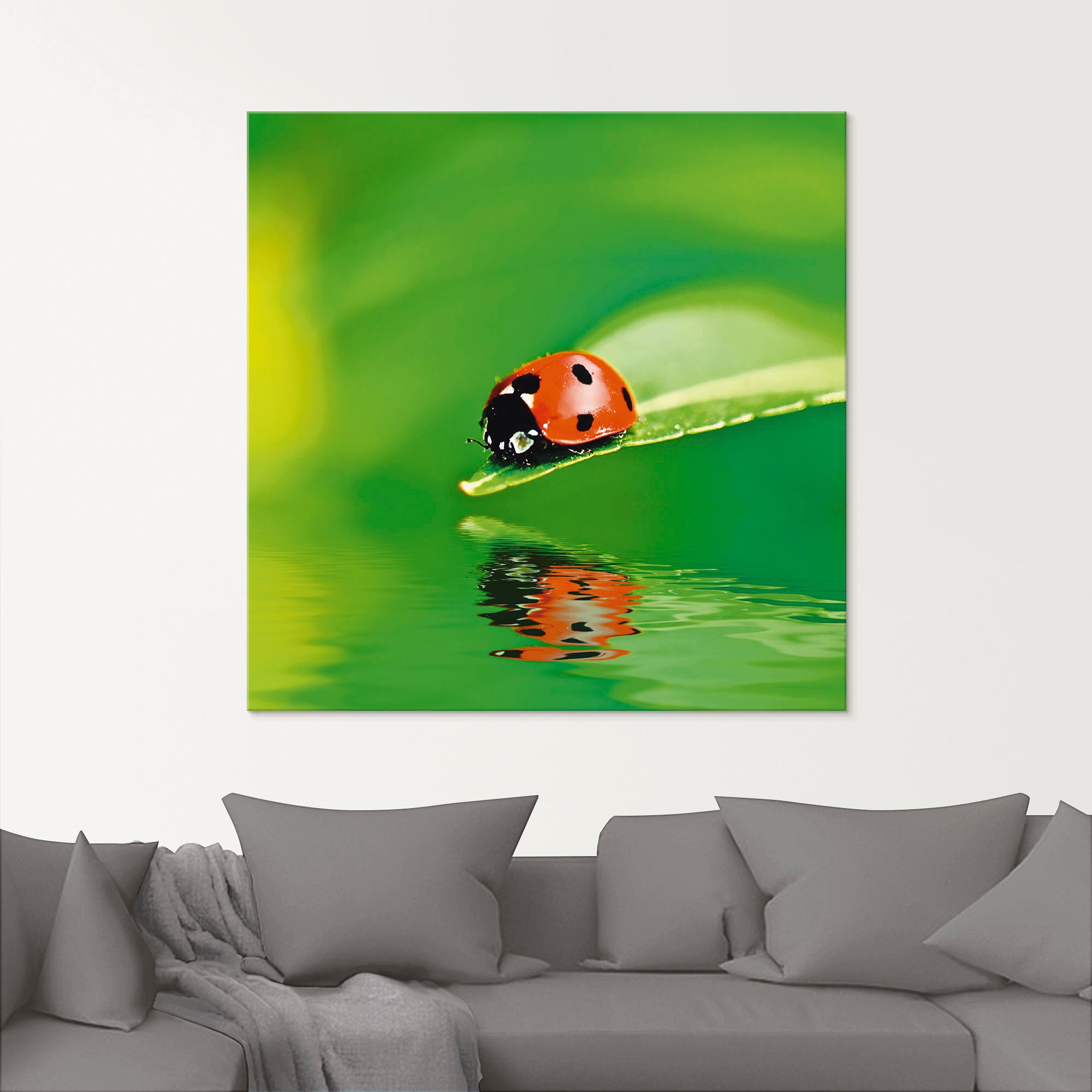 Artland Glasbild "Marienkäfer auf einem Blatt" Insekten 1 Stk. tlg. in vers günstig online kaufen
