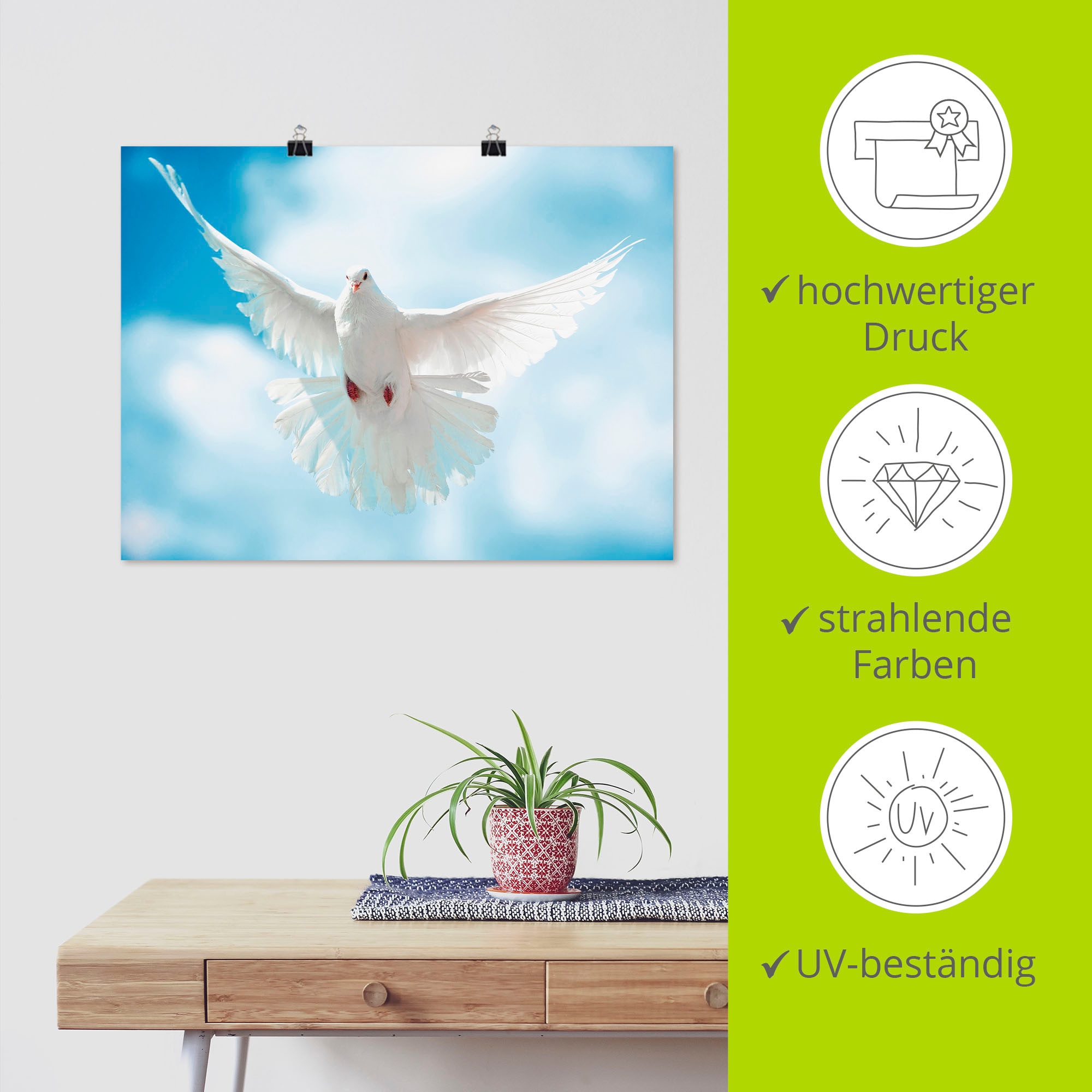 Artland Wandbild »Taube mit ausgebreiteten Flügeln« Vögel 1 Stk. tlg. als Alubild, Outdoorbild, Leinwandbild, Poster in verschied. Größen