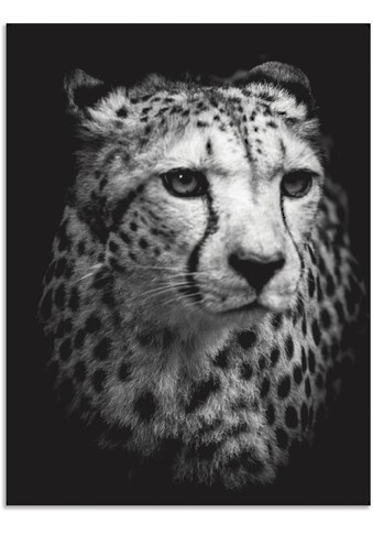 Artland Paveikslas »Der Gepard« Wildtiere (1 S...