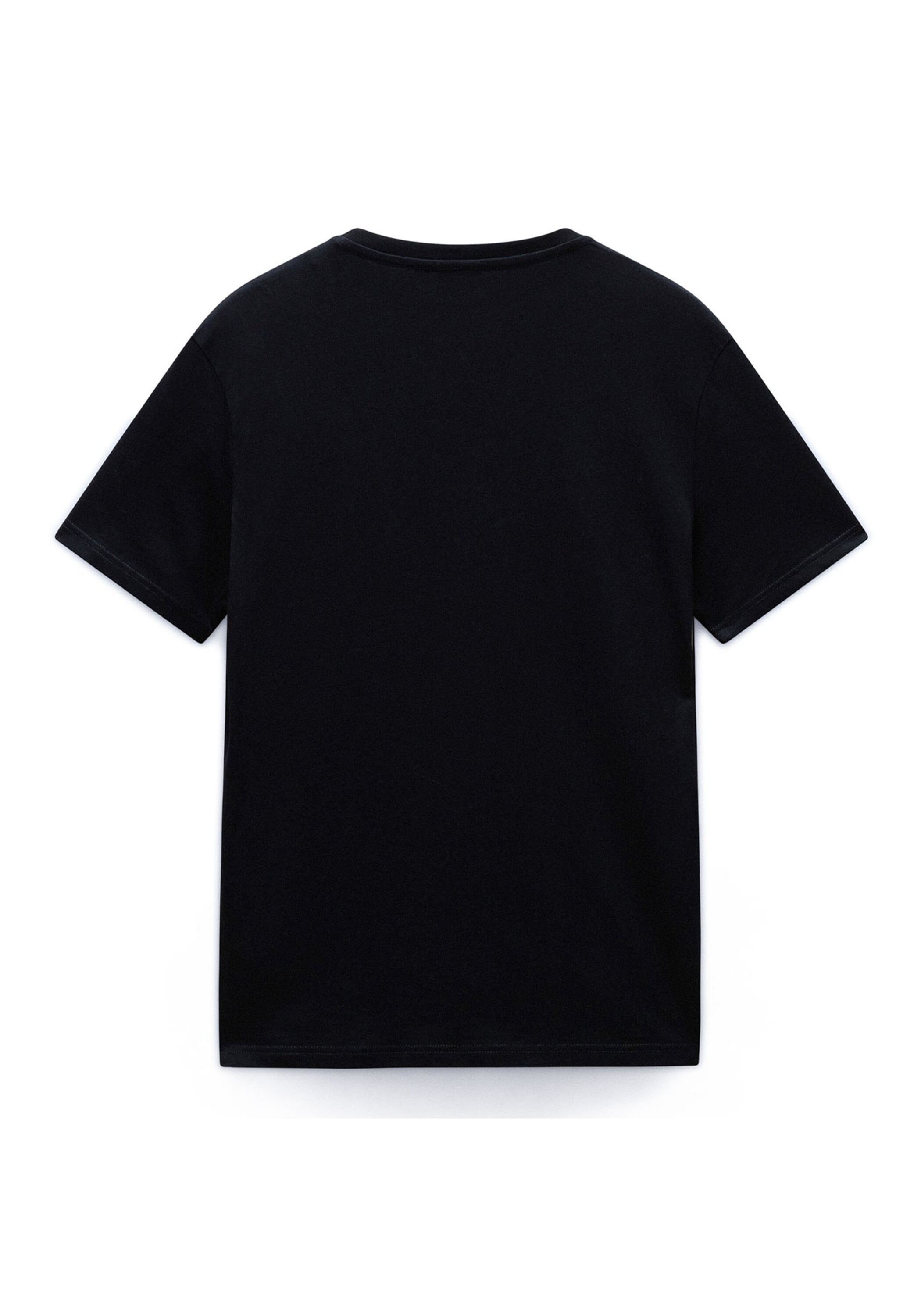 Napapijri T-Shirt »T-Shirt SALIS Small Flag 1er Pack«