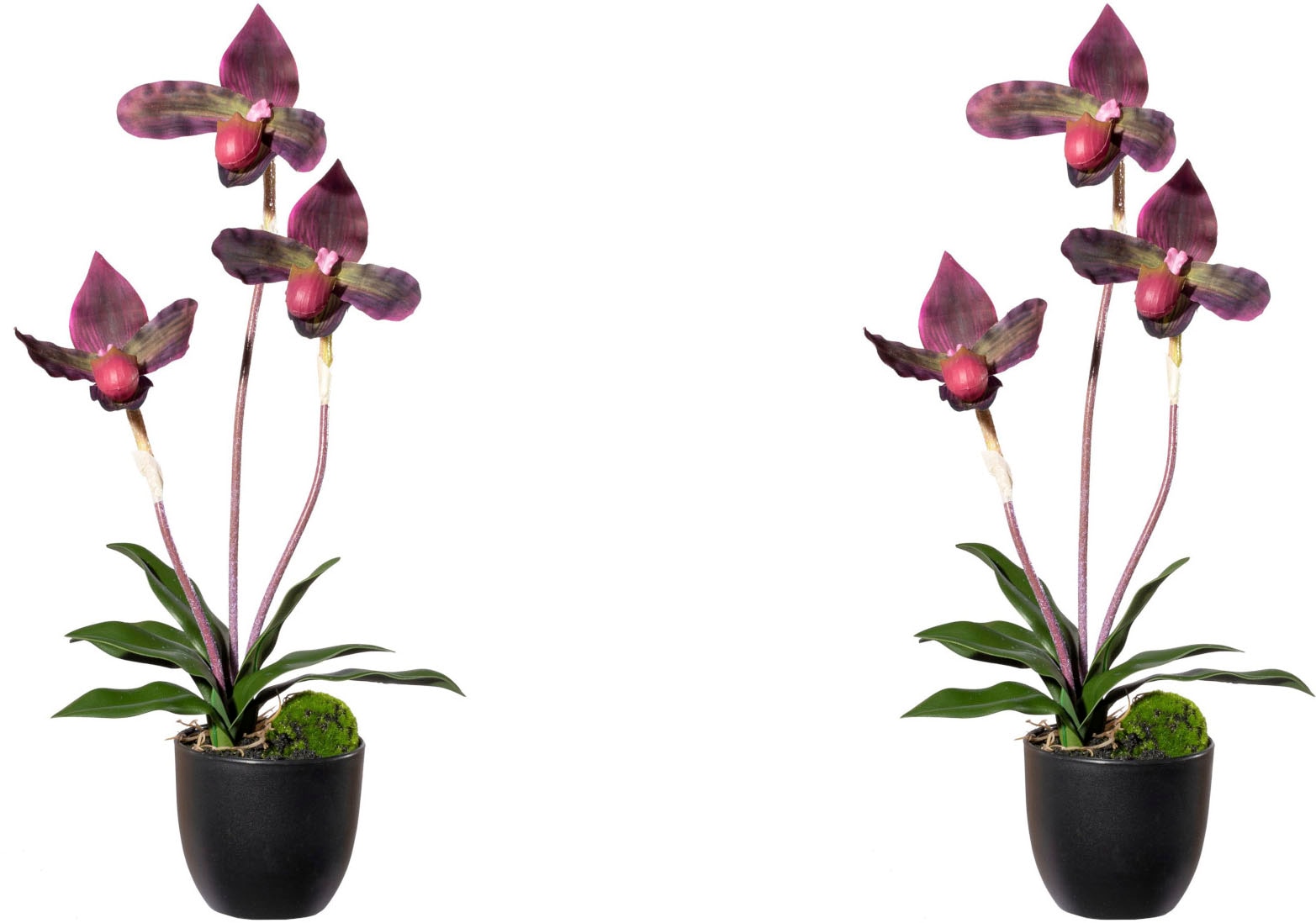 Creativ green Kunstorchidee "Orchidee Frauenschuh", mit Real-Touch-Blüten günstig online kaufen