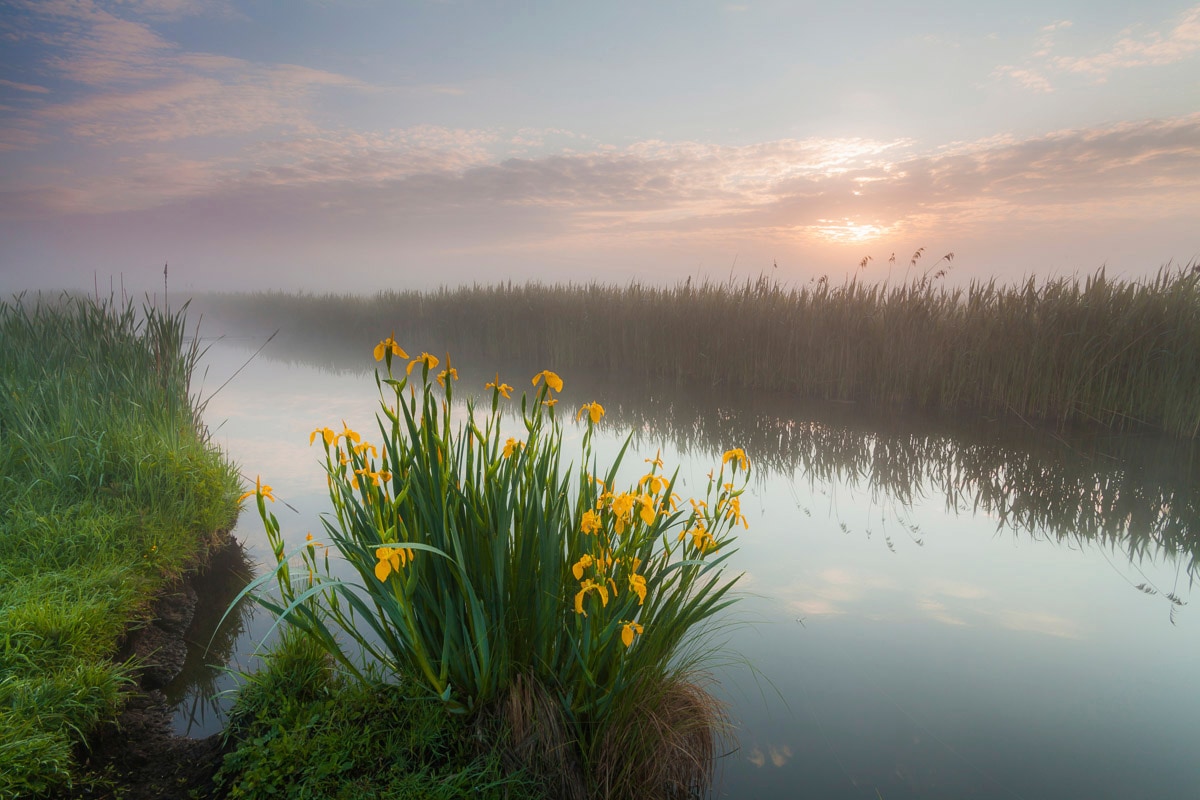 Papermoon Fototapete »Fluss durch Feld«