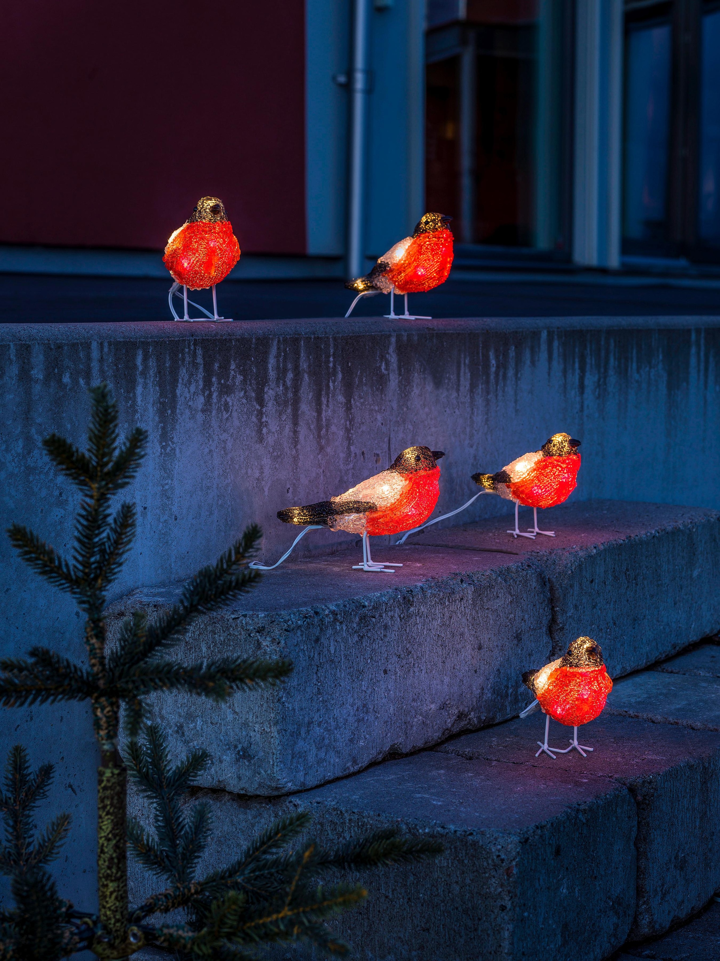 »Rotkehlchen, | BAUR Weihnachtsdeko LED-Lichterkette KONSTSMIDE aussen« rot