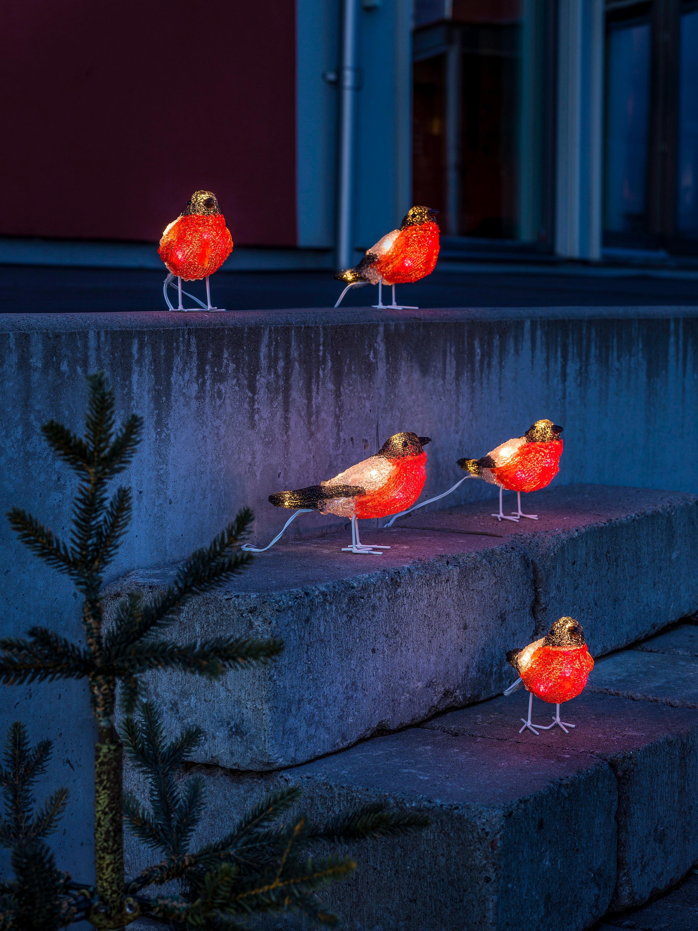 KONSTSMIDE LED-Lichterkette »Rotkehlchen, Weihnachtsdeko rot aussen« | BAUR