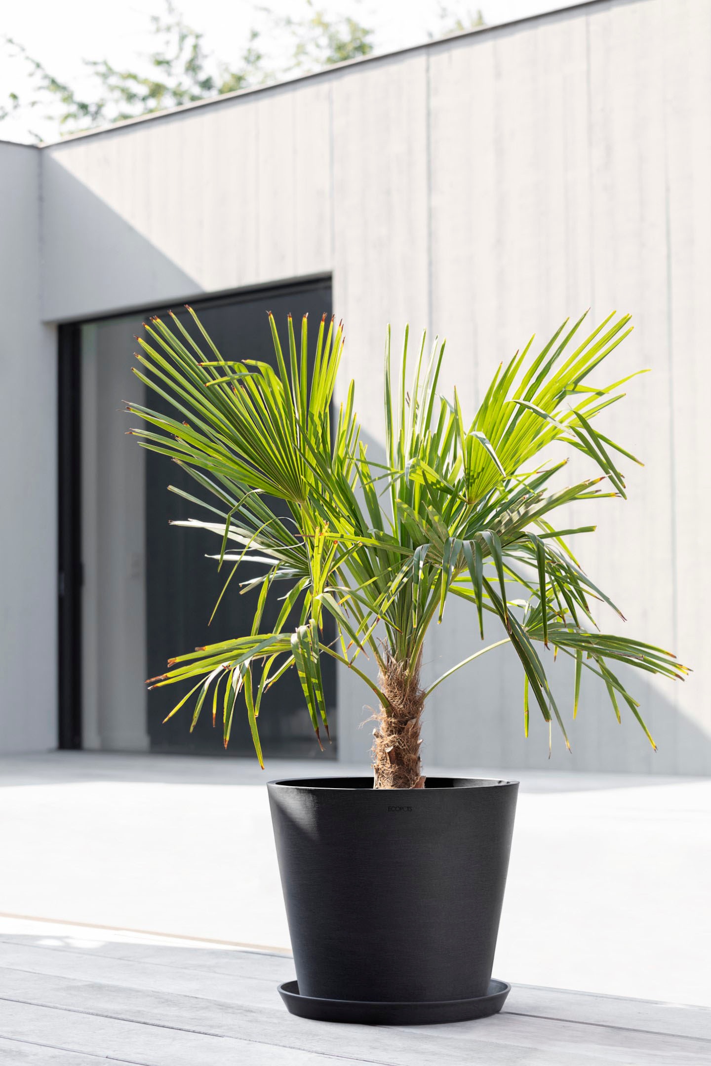 ECOPOTS Blumentopf »Amsterdam«, ØxH: 40x35 cm