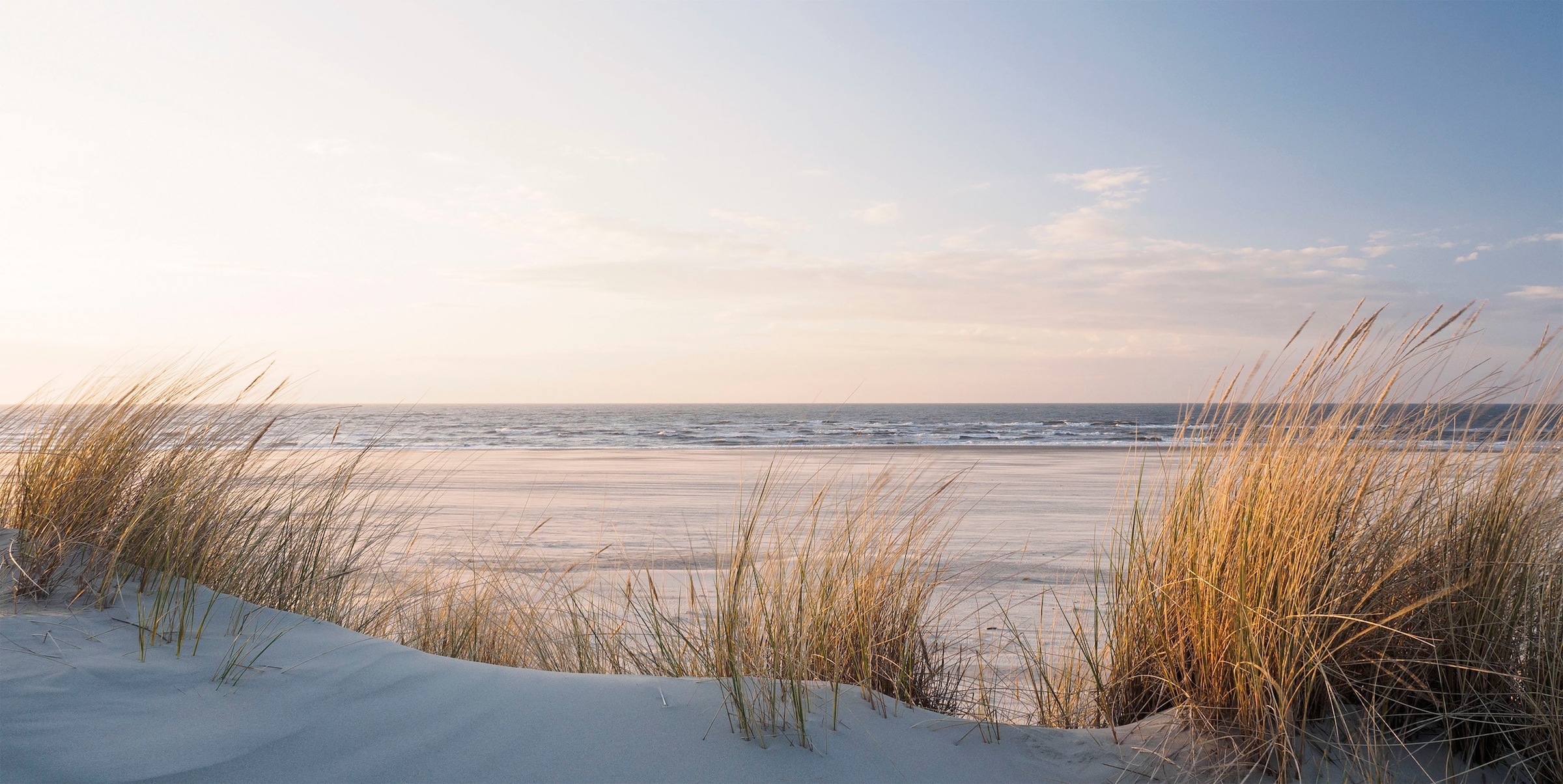Bönninghoff Leinwandbild Düne  Strand 1 Stk. tlg. BxH: 100x50 cm günstig online kaufen