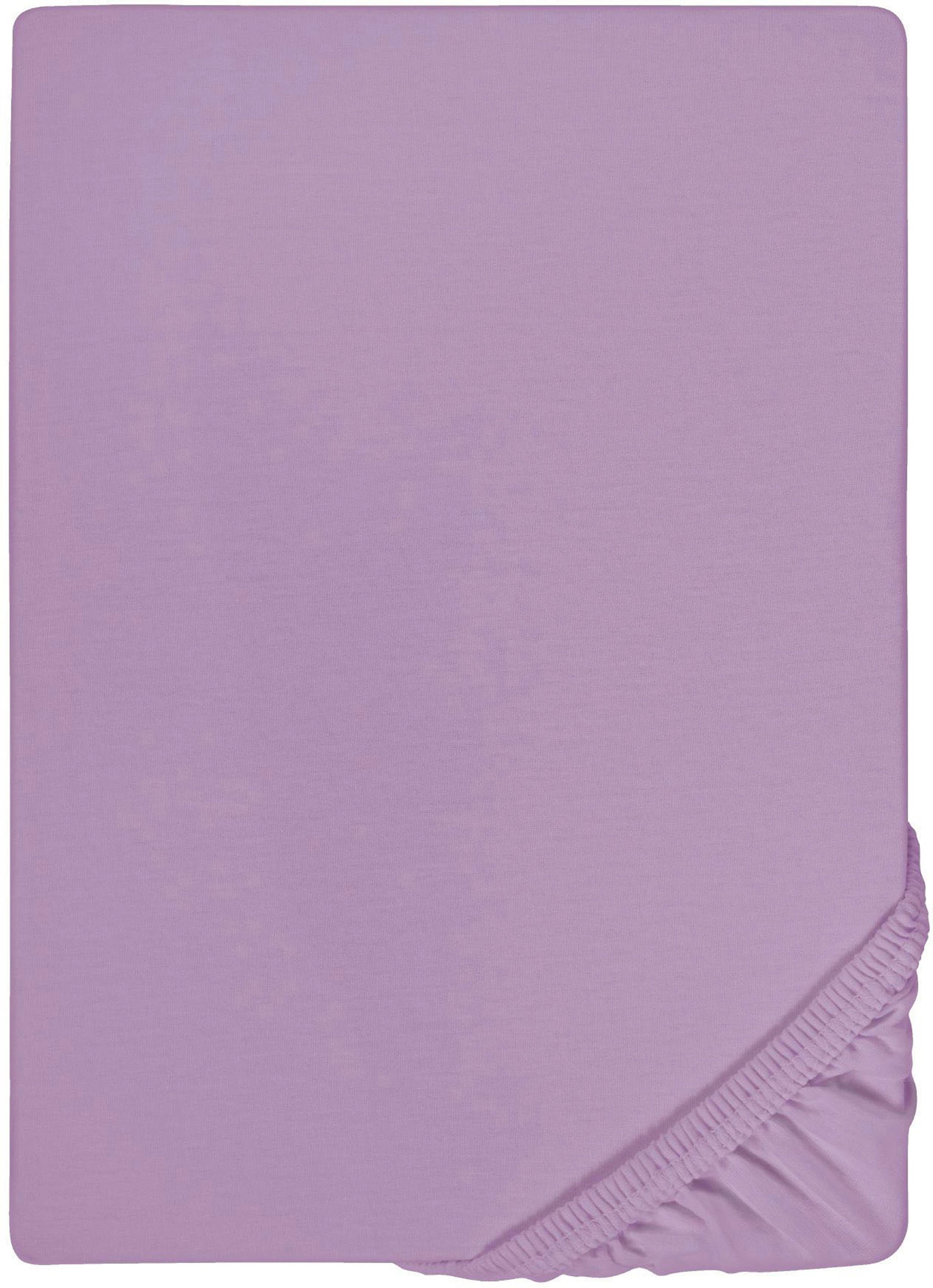 Biberna Spannbettlaken »Marc in Gr. 90x200, 140x200 oder 180x200 cm«, (1 St.), aus Baumwolle, für Matratzen bis 22 cm Höhe, Bettlaken, Spannbetttuch