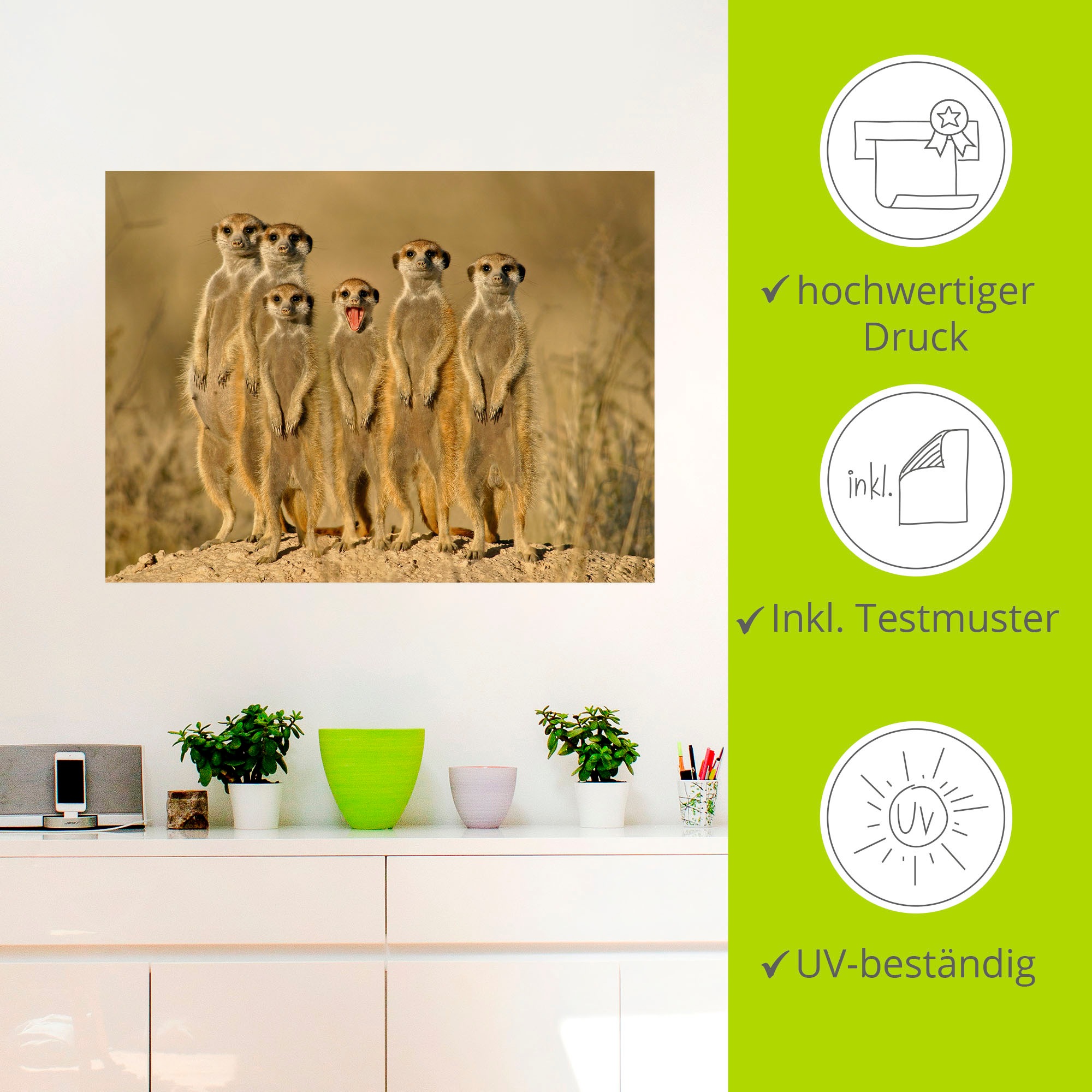 Artland Wandbild »Erdmännchen Familie«, Wildtiere, (1 St.), als Alubild, Outdoorbild, Leinwandbild, Poster, Wandaufkleber