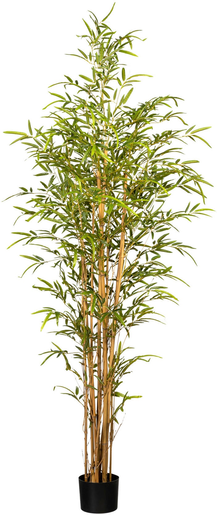bestellen BAUR Creativ | »Bambus« green Kunstbaum