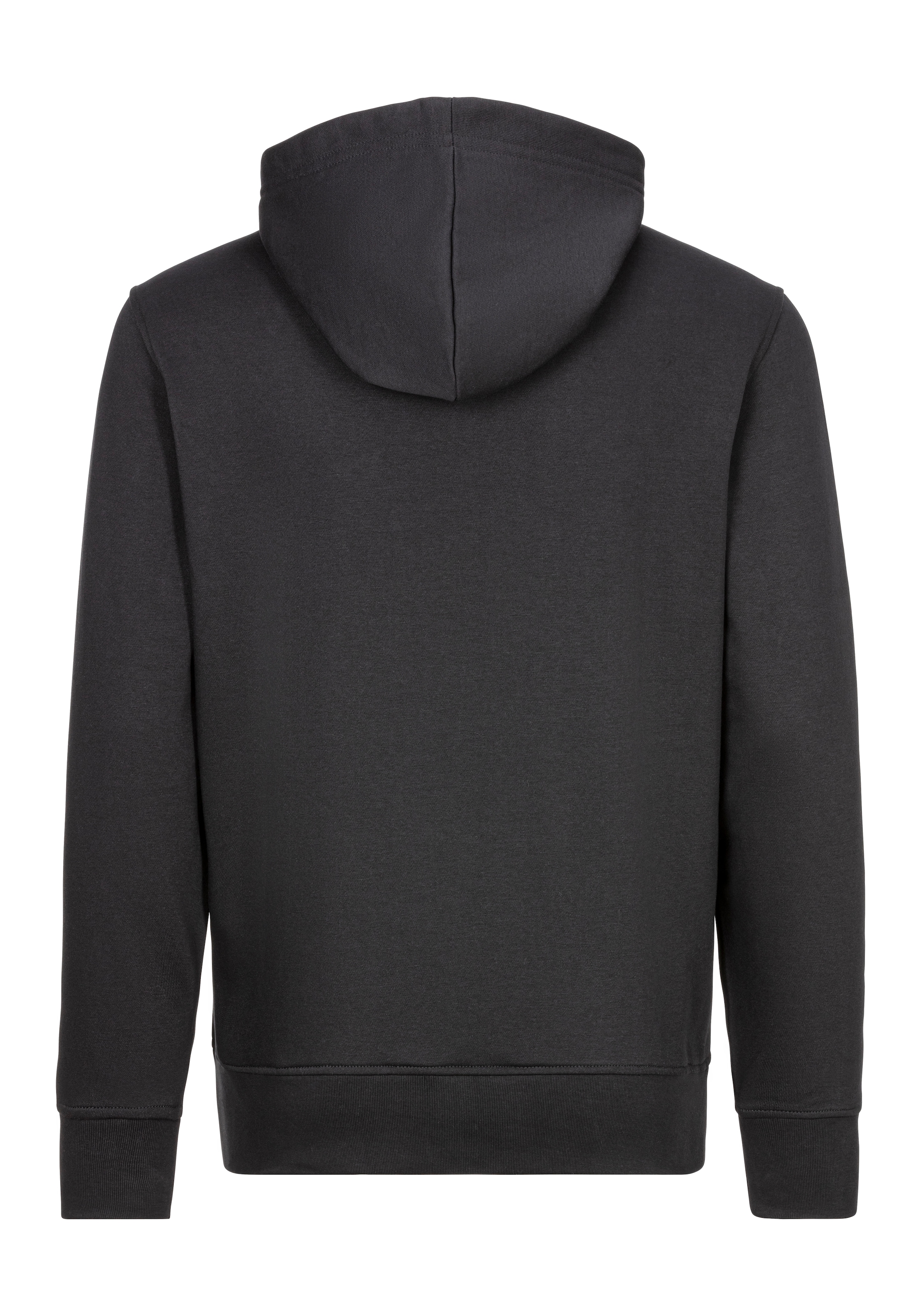 Gant Kapuzensweatjacke »GRAPHIC FULLZIP HOODIE«