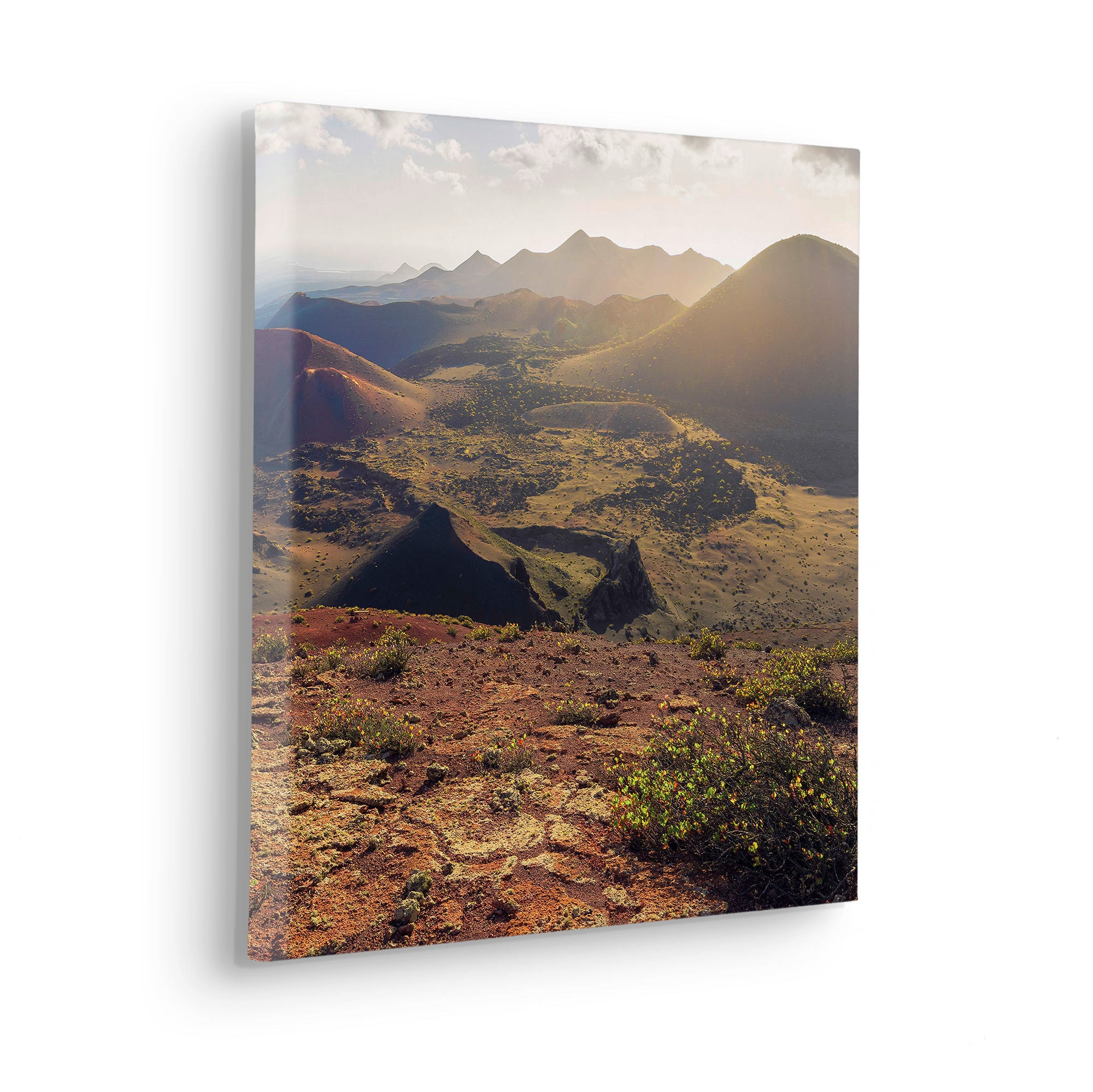 Komar Leinwandbild "Coloured Earth - Größe 40 x 40 cm" Baum  Berge  Blätter günstig online kaufen