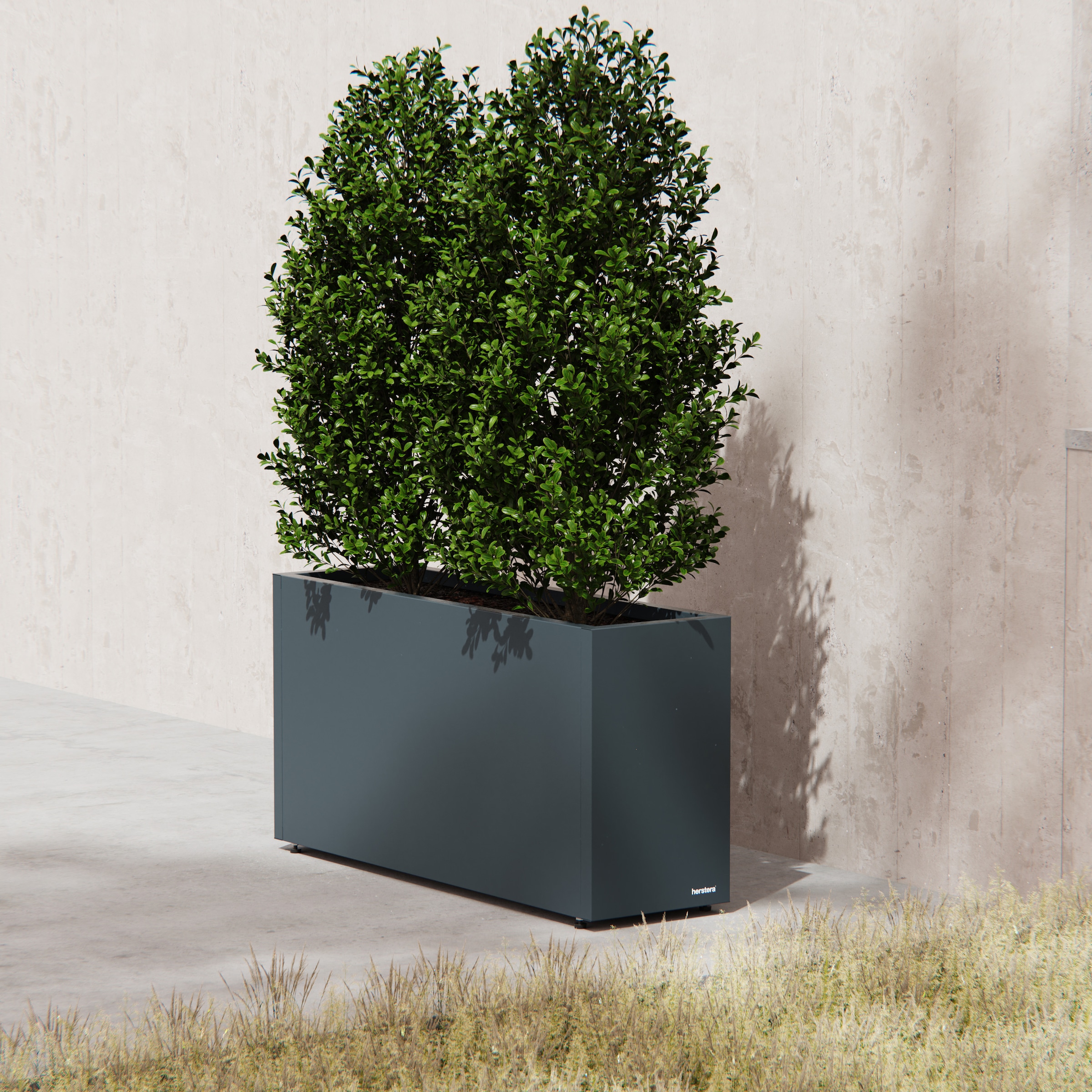 Herstera Garden Pflanzkübel »Cube« BxTxH: 100x30x50 cm