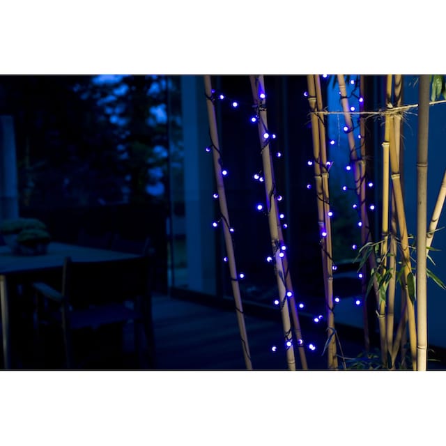 KONSTSMIDE LED-Lichterkette »Weihnachtsdeko aussen«, 80 St.-flammig, LED  Globelichterkette, runde Dioden, 80 purpurfarbene Dioden bestellen | BAUR