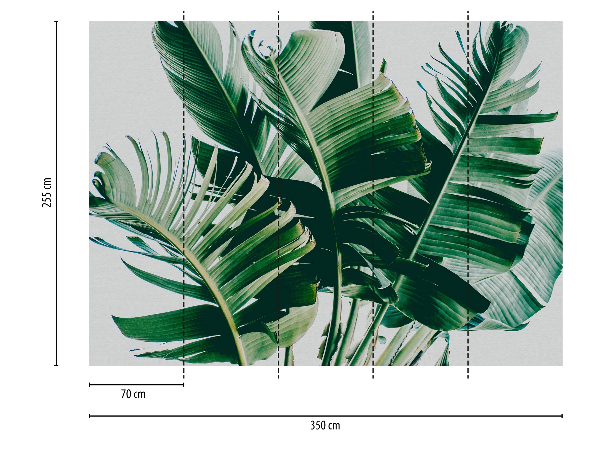 A.S. Création Vliestapete »Tropenfototapete Bananenblätter Grün Weiß« matt strukturiert