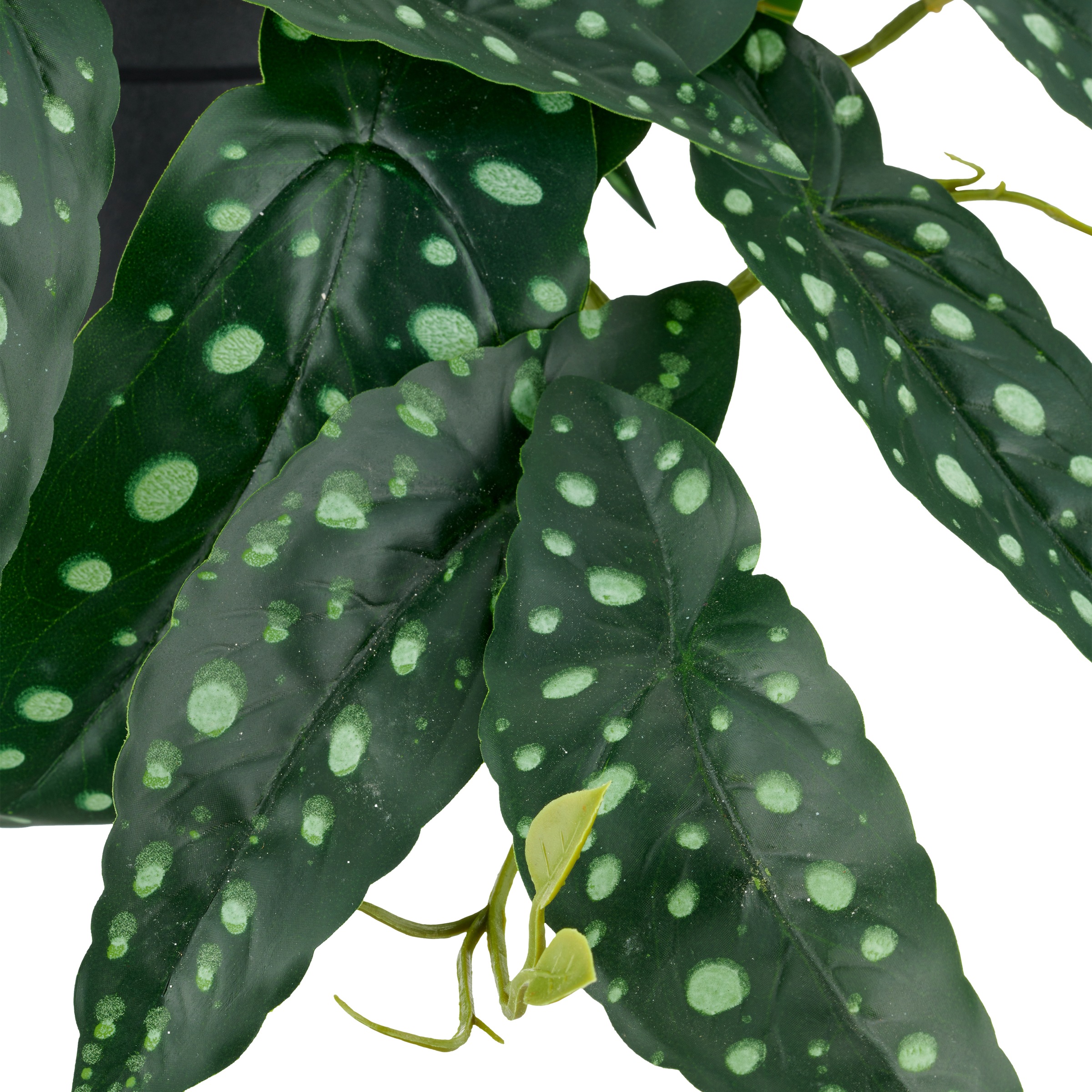 Creativ green Kunstpflanze »Begonia maculata«, mit naturgetreuem Blattwerk