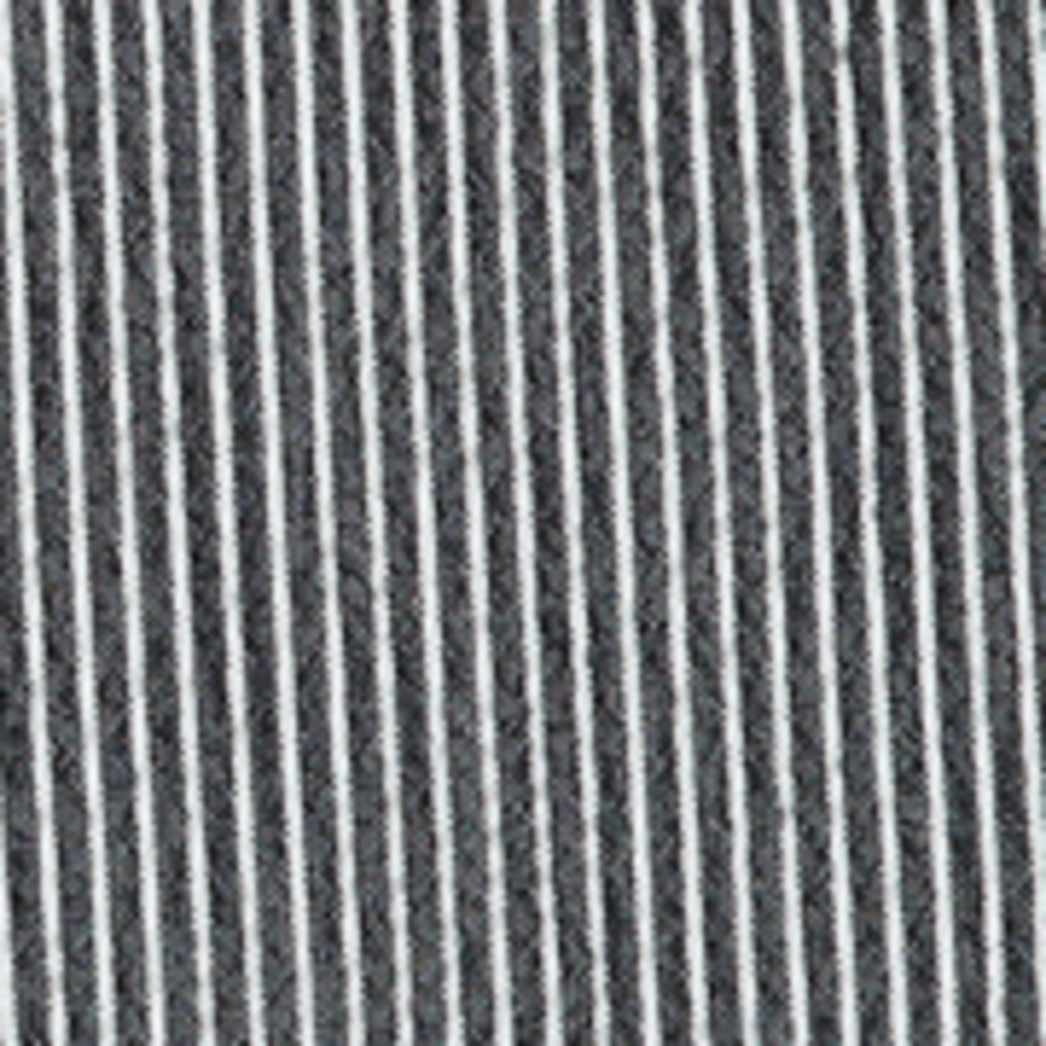 Cecil Shorts  High Waist