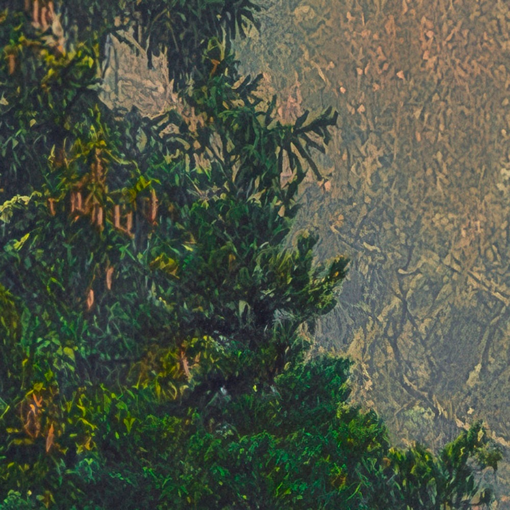Komar Fototapete »Vlies Fototapete - Mystical Firs - Größe 400 x 250 cm« Motiv | bedruckt glatt