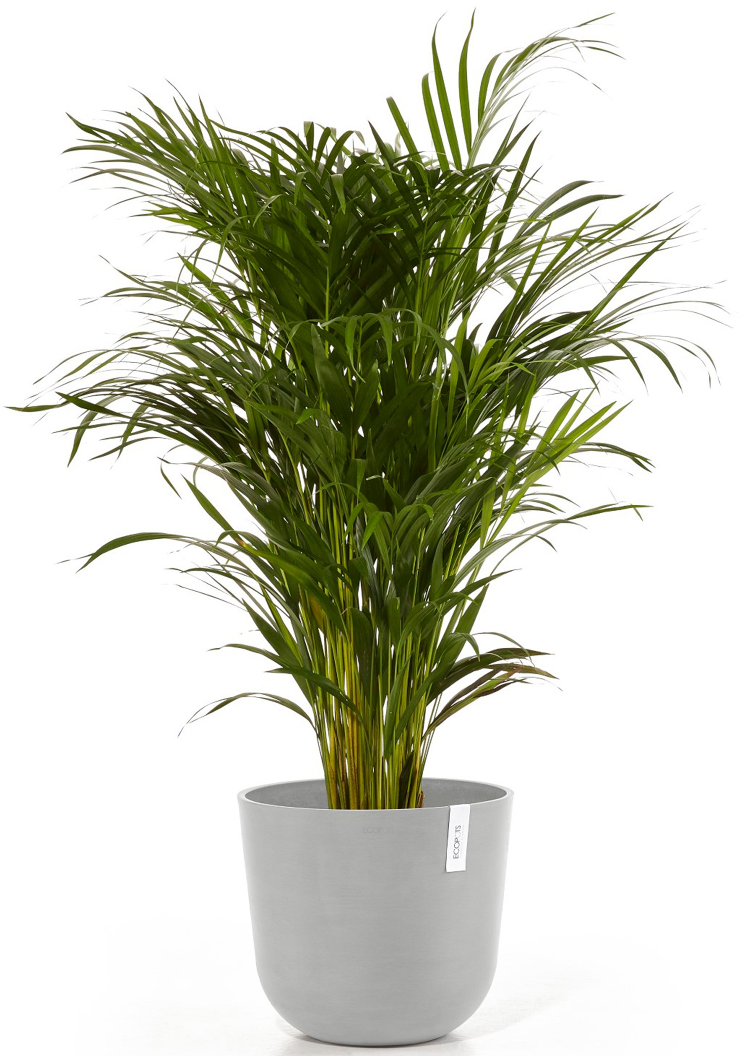 ECOPOTS Blumentopf »Oslo 35 + Wassersystem Weißgrau«, für innen und außen: frostsicher, bruchsicher und lichtbeständig