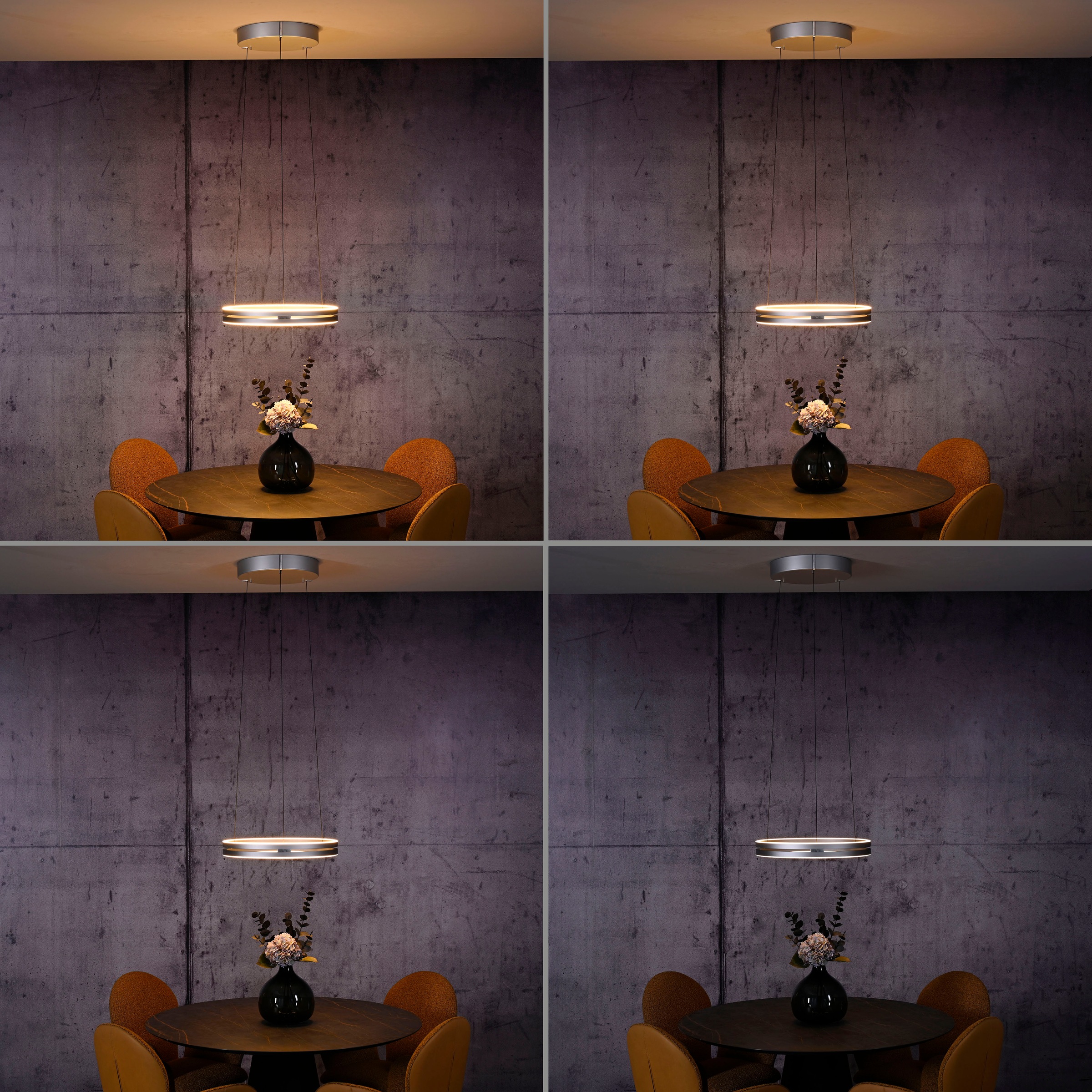 Neuhaus PURE LED Pendelleuchte »PURE E-Loop« LED-Board 1 Stk. warmweiß - kaltweiß e-LIFT® Funktion, CCT, dimmbar über Fernbedienung
