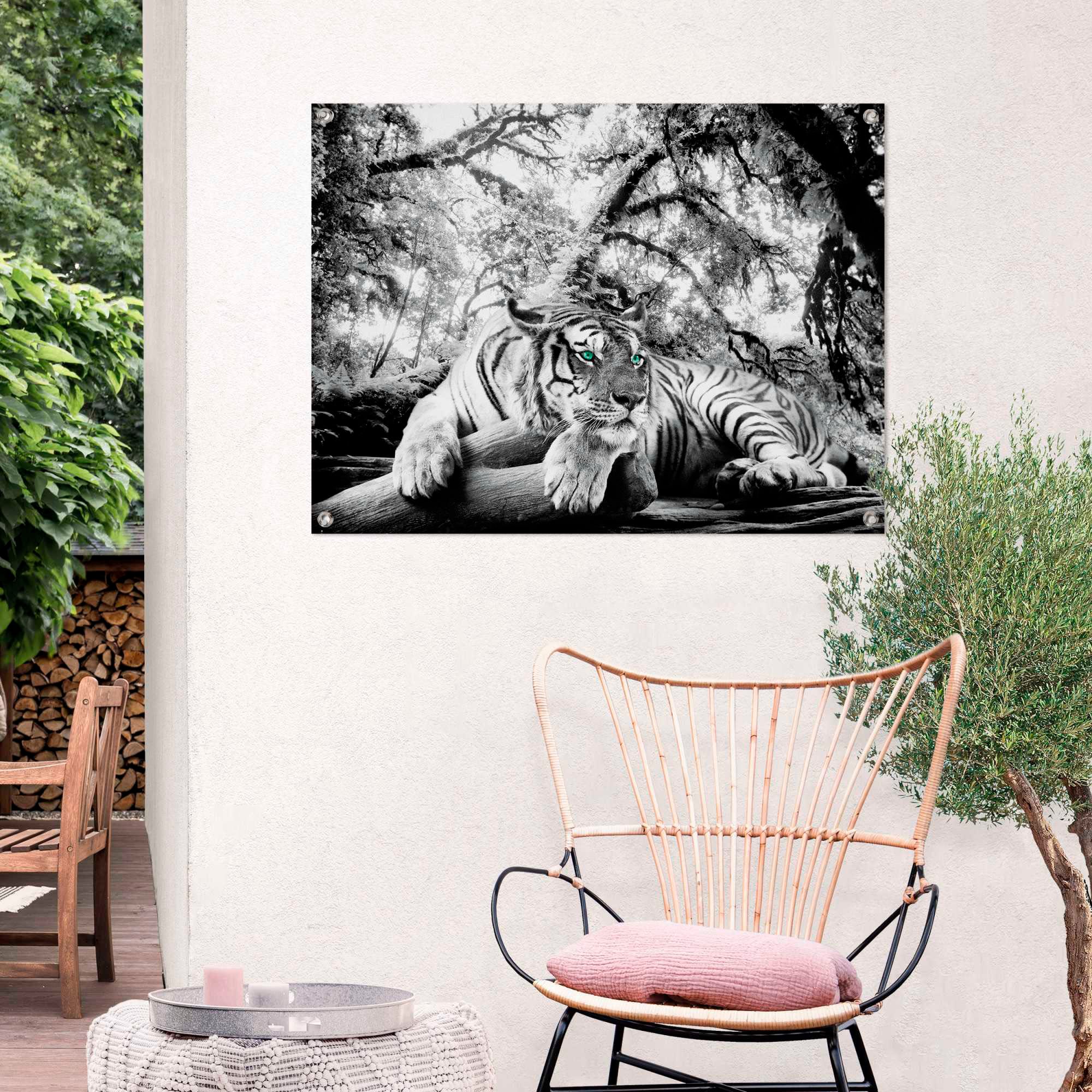 Reinders! Poster »Tigerblick«