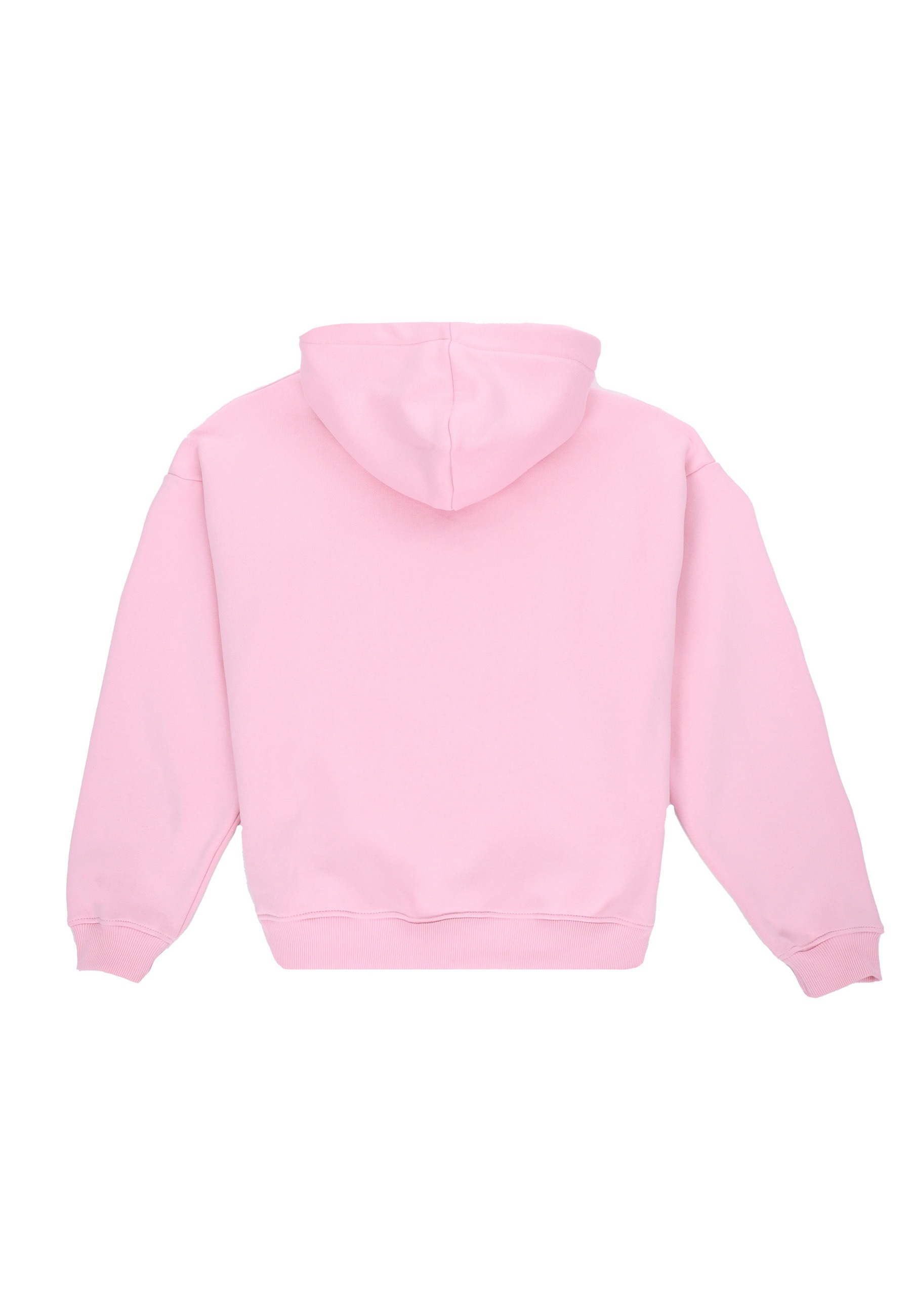 Dropsize Sweatjacke "Dropsize WOMENS LOGO ZIP HOODIE" günstig online kaufen