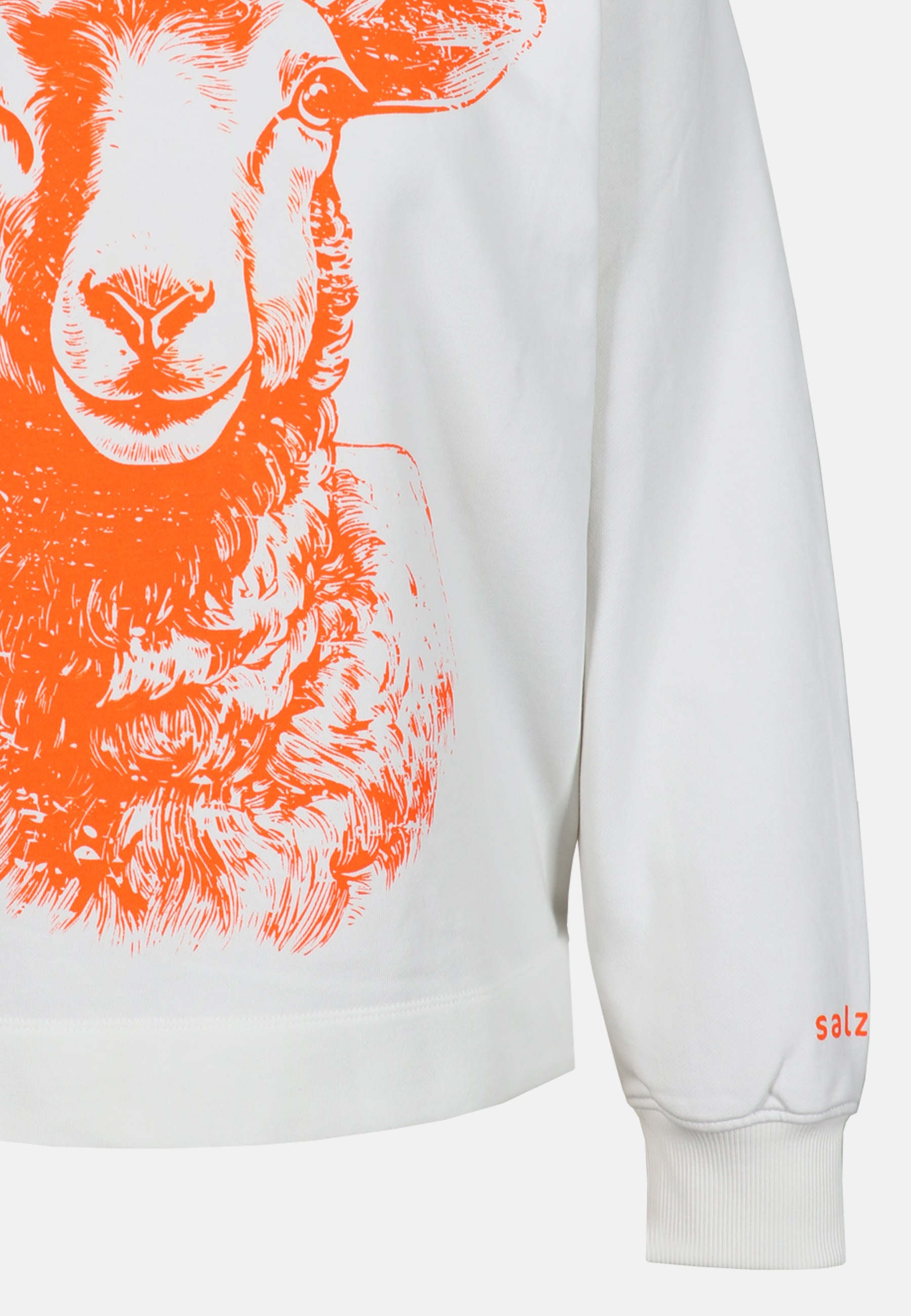 salzhaut Kapuzenpullover "Hoodie VÖRSLACH" günstig online kaufen