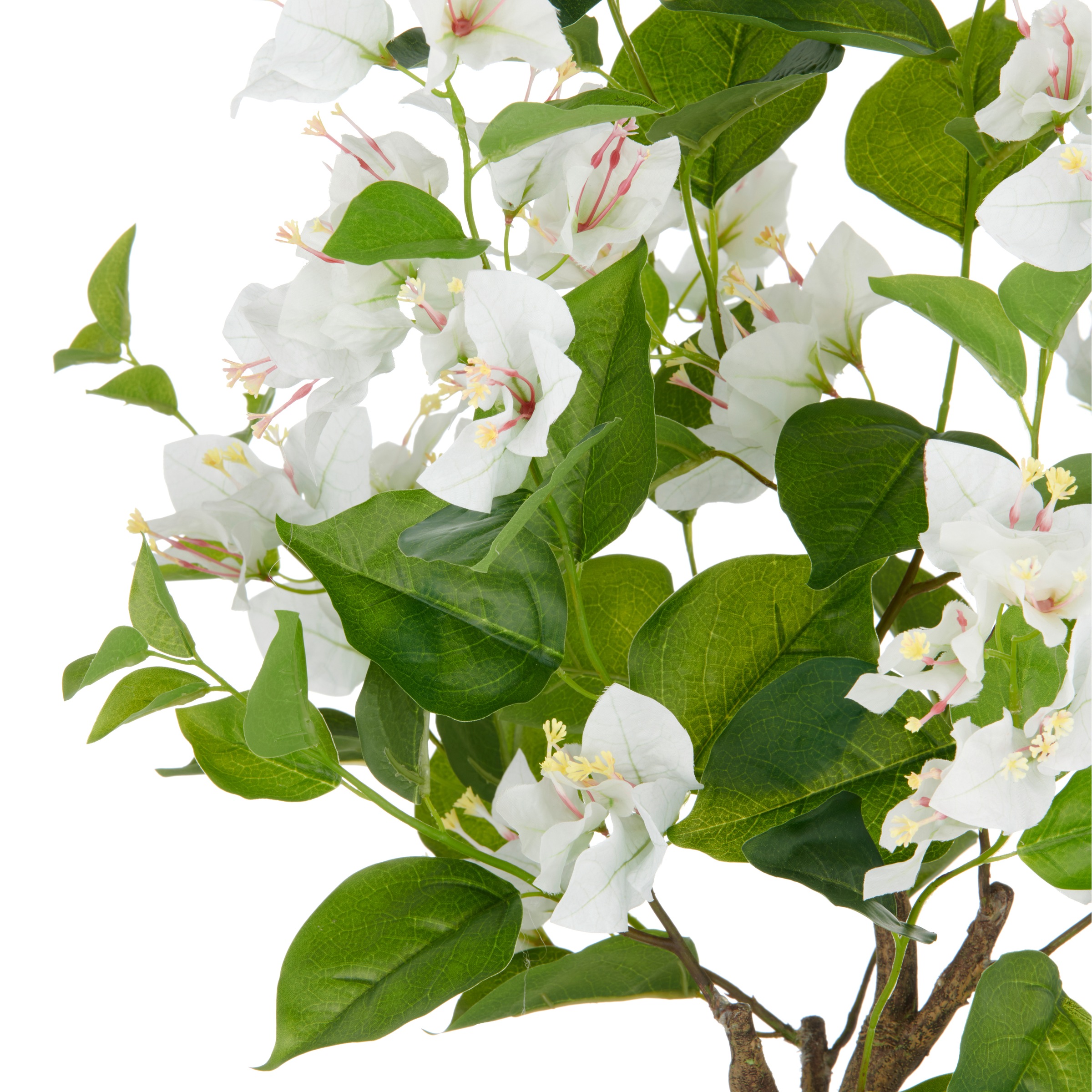Creativ green Kunstpflanze "Bougainvillea", mit zahlreichen Blüten günstig online kaufen