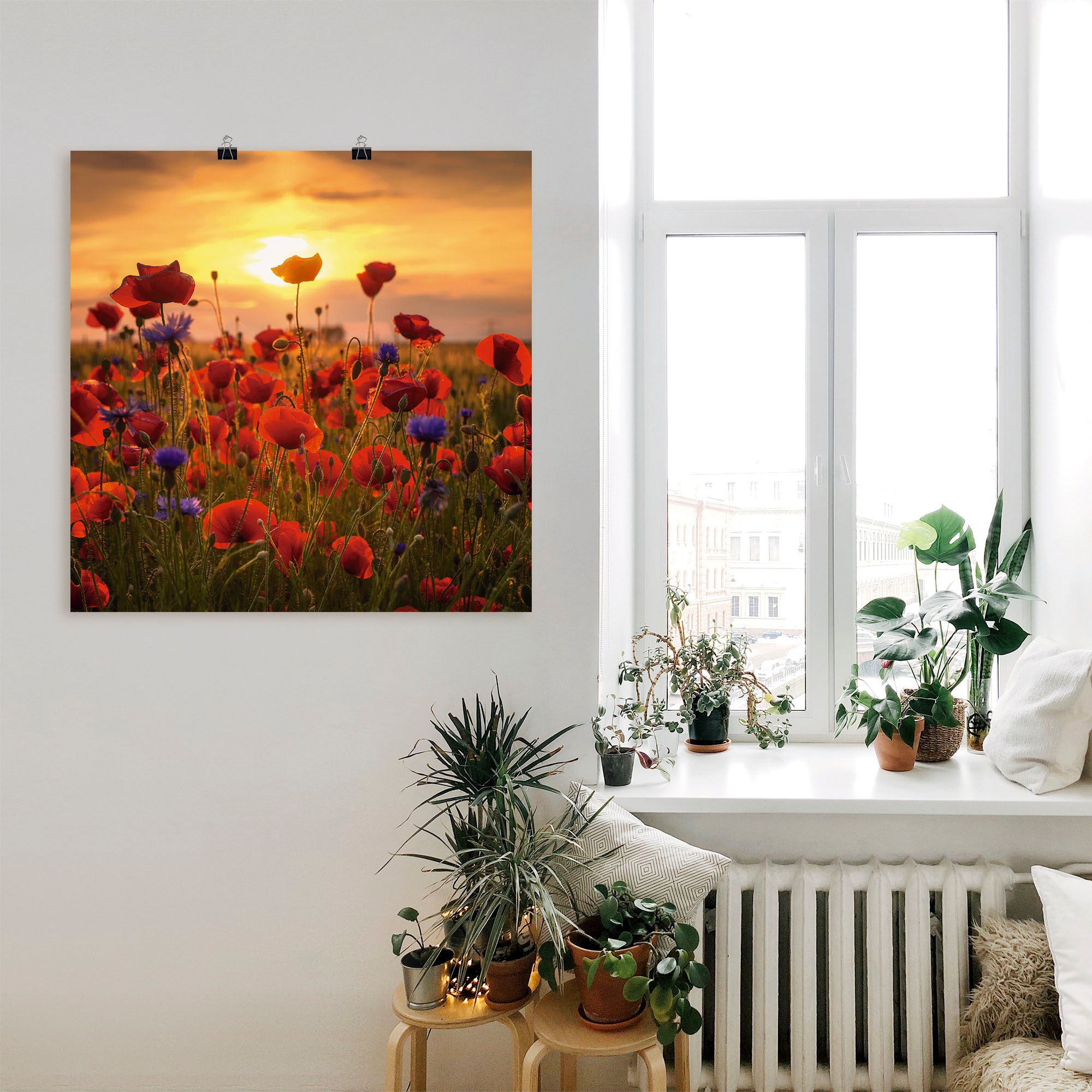 Artland Wandbild »Mohnblumen im Abendlicht«, Blumen, (1 St.), als Alubild, Outdoorbild, Leinwandbild, Poster, Wandaufkleber