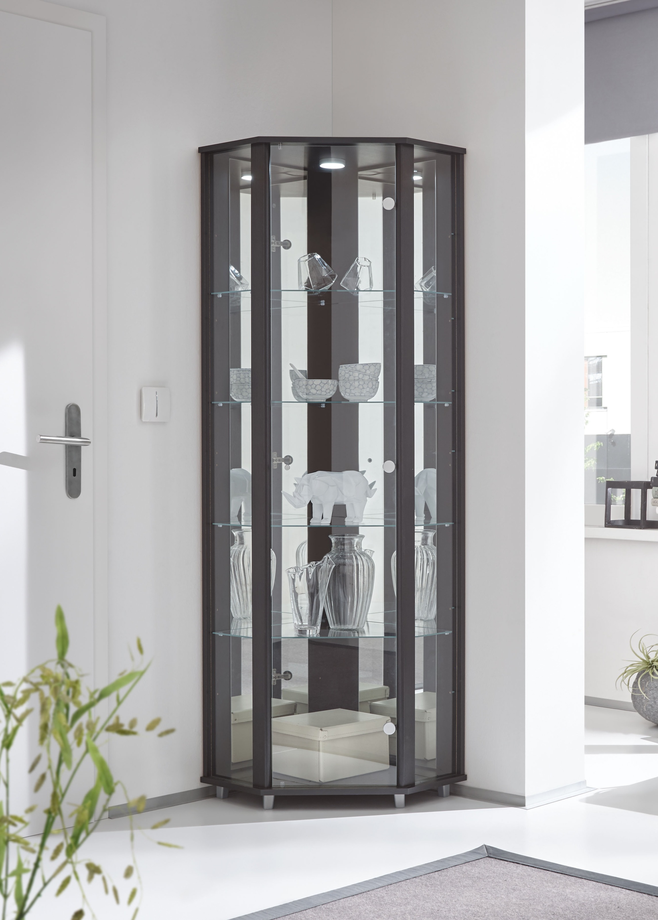 fif möbel Eckvitrine »TRIO Höhe ca. 172 cm, ink. Beleuchtung«, Eckvitrine/Glasvitrine 1x Glastür, perfekt für Sammler, Sammlervitrine