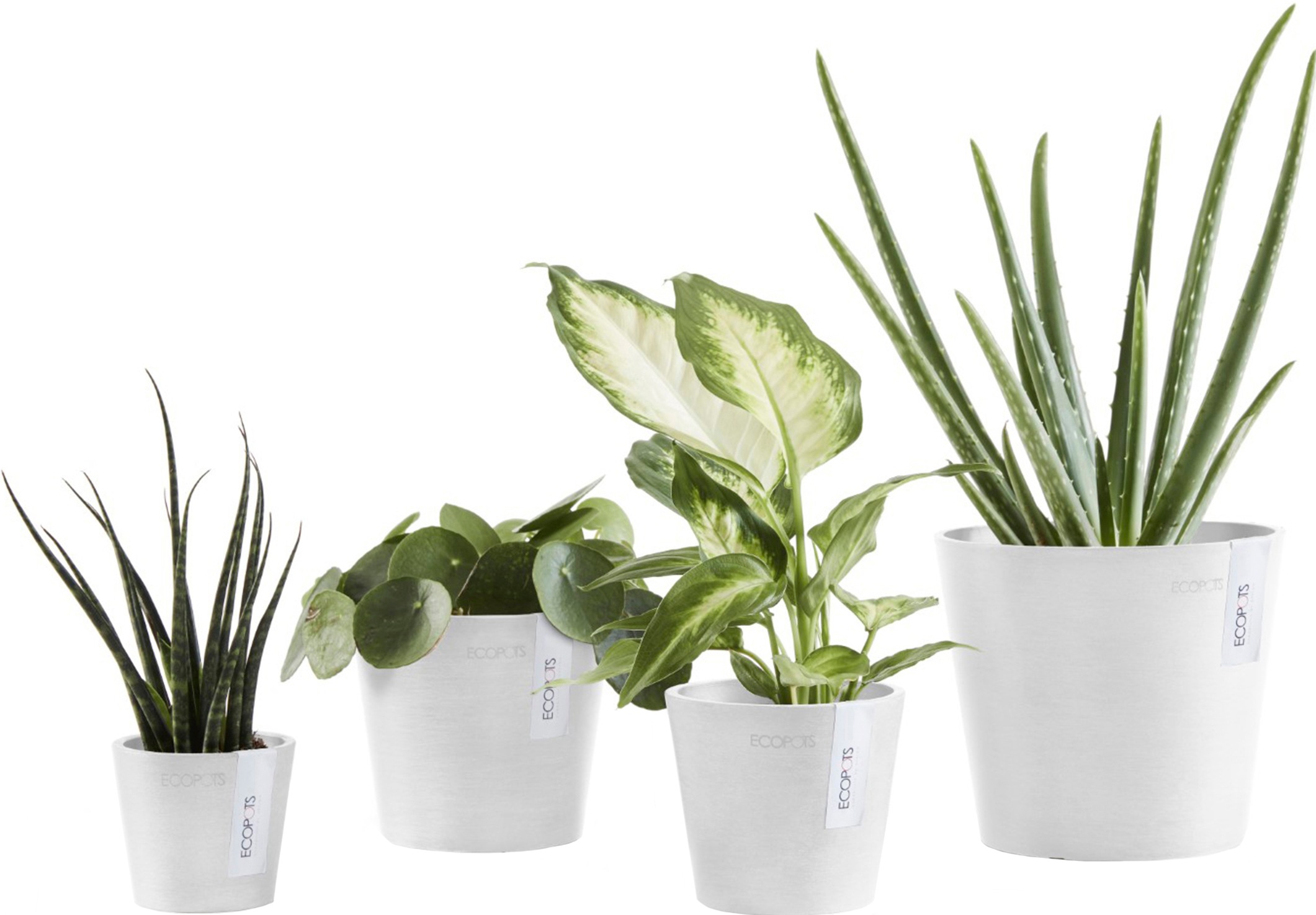 ECOPOTS Blumentopf »Amsterdam Mini 10,5 Weiß«, für den Innenbereich
