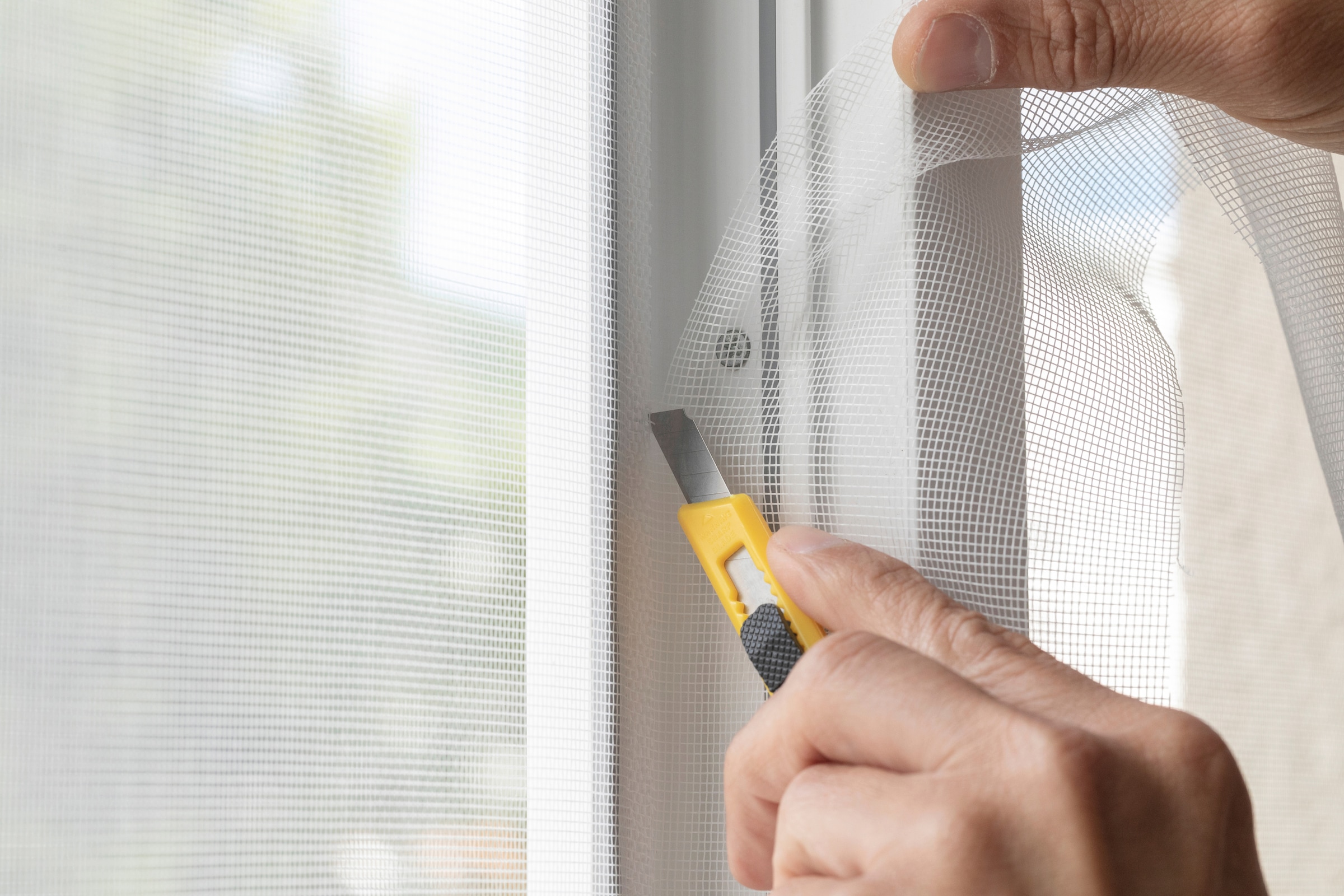 SCHELLENBERG Fliegengitter-Gewebe »aus Fiberglas in anthrazit und weiß«, Insektenschutz Rolle für Fenster und Tür, verschiedene Maße
