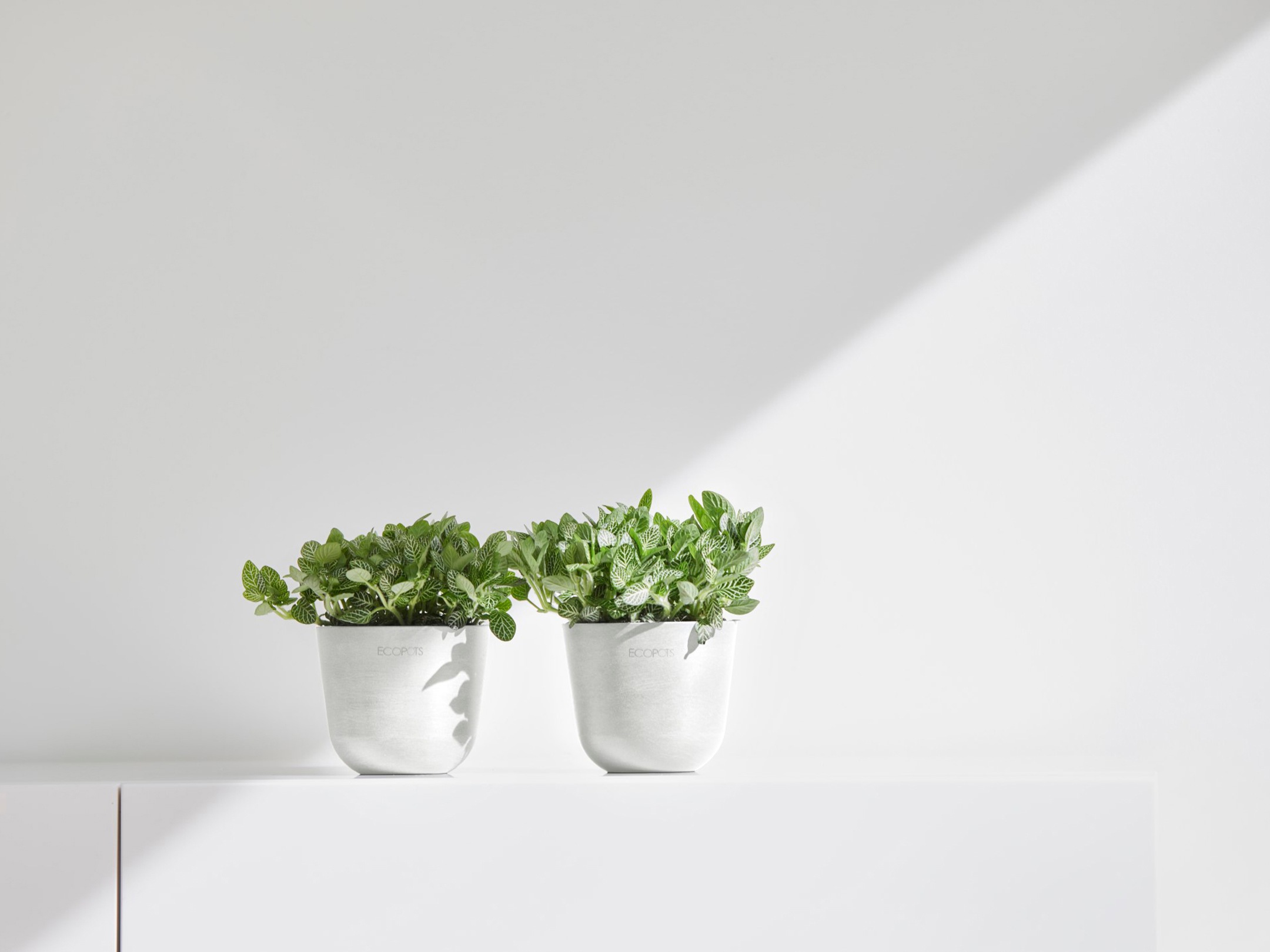 ECOPOTS Blumentopf »Oslo Mini 11,5 Weiß«, für den Innenbereich