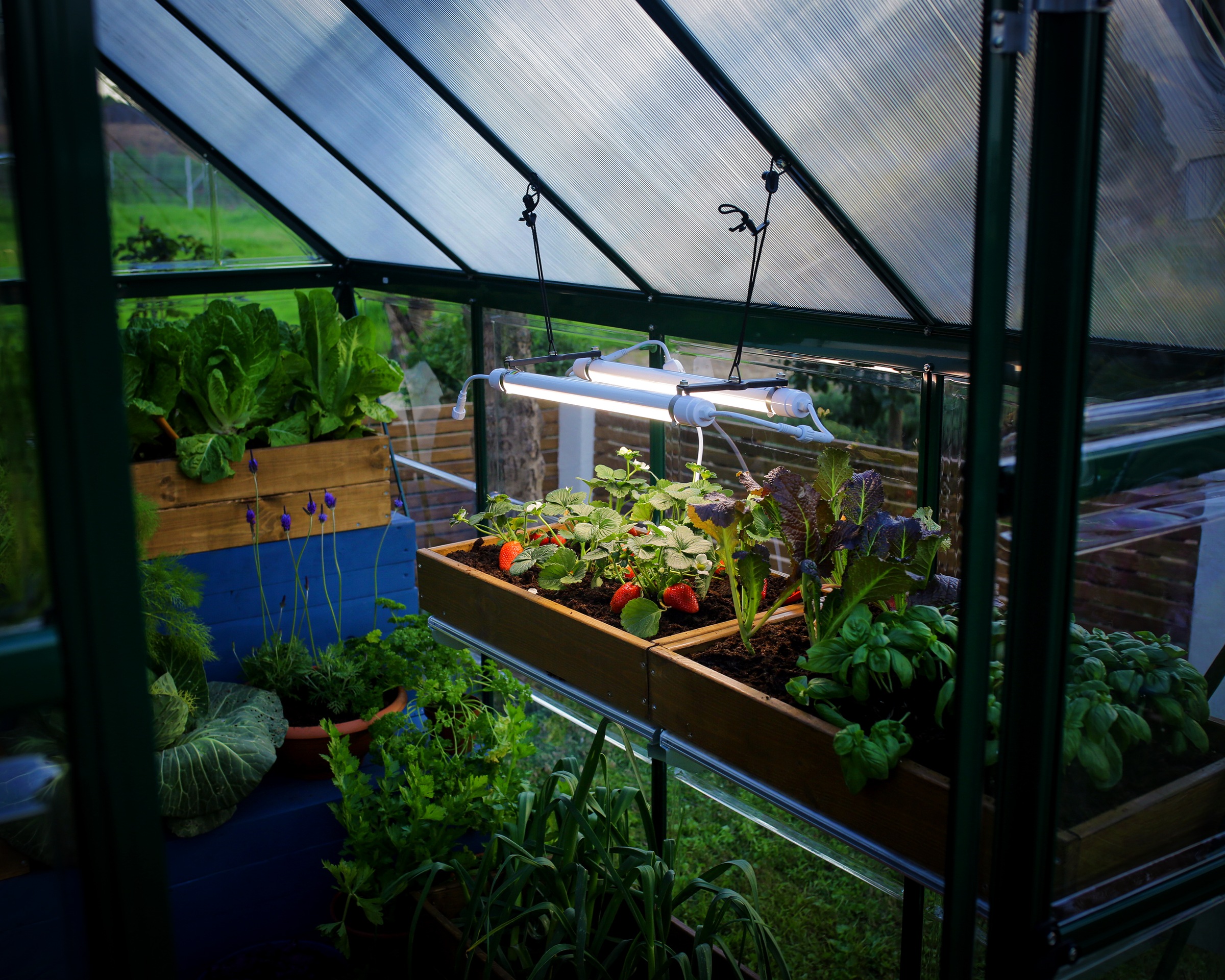 Palram - Canopia LED Gartenleuchte »Brighton«, Leuchtmittel LED-Modul | LED fest integriert, LED-UV-Wachstumslicht für Gewächshäuser
