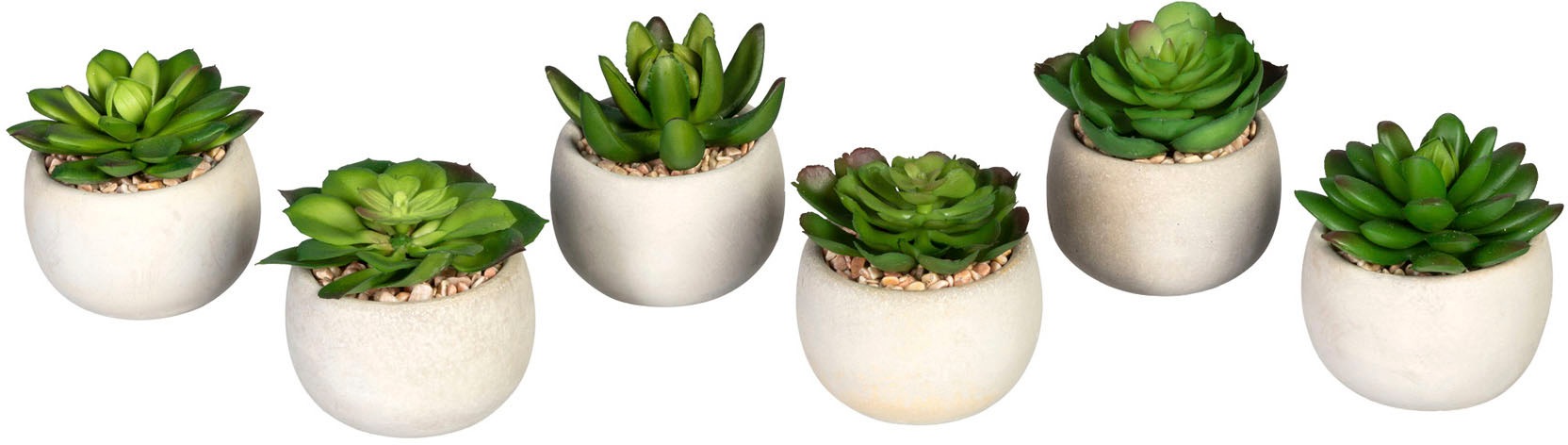 Creativ green Künstliche Zimmerpflanze »Echeverien«, im Zementtopf, 6er Set