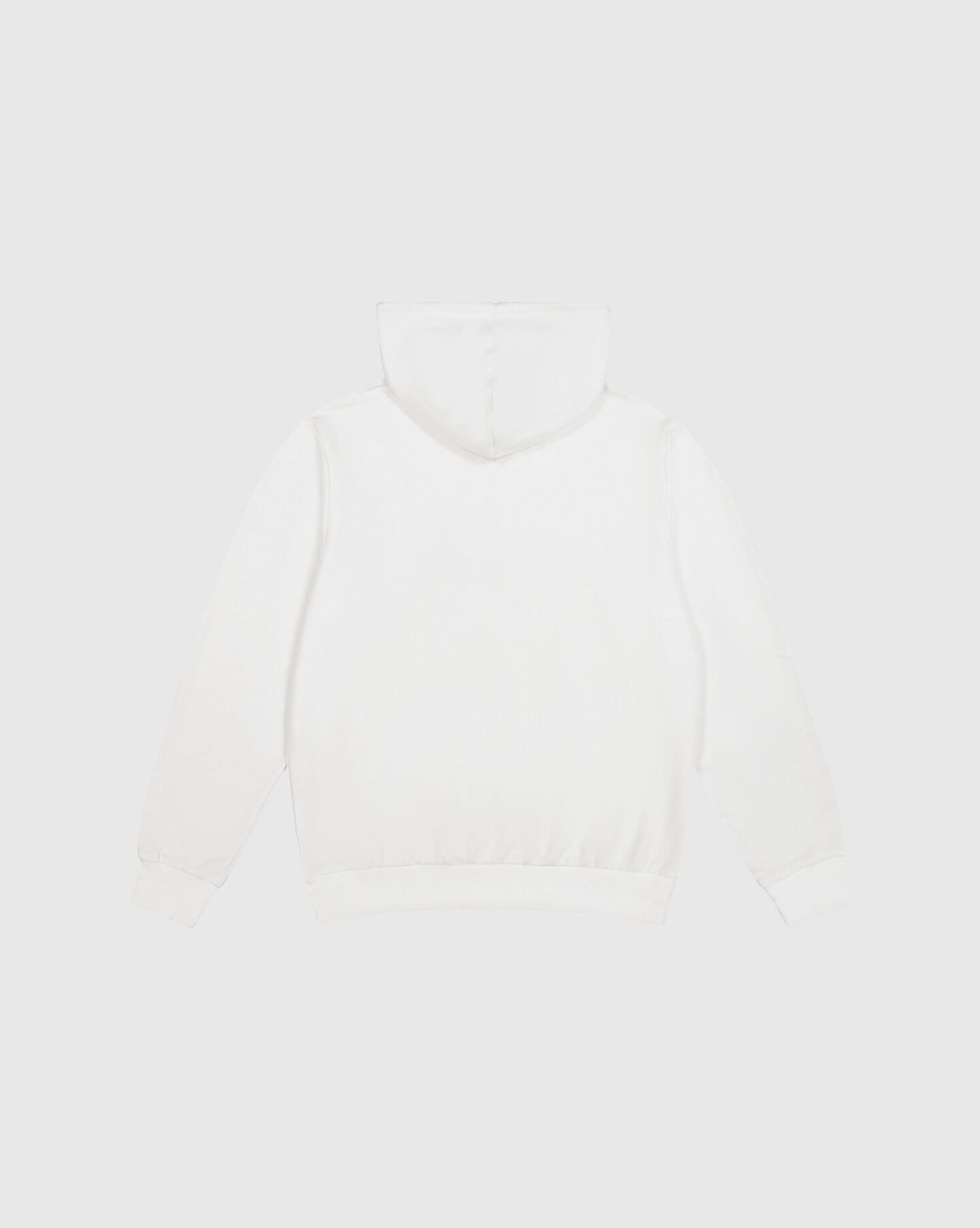 Champion Kapuzensweatshirt
