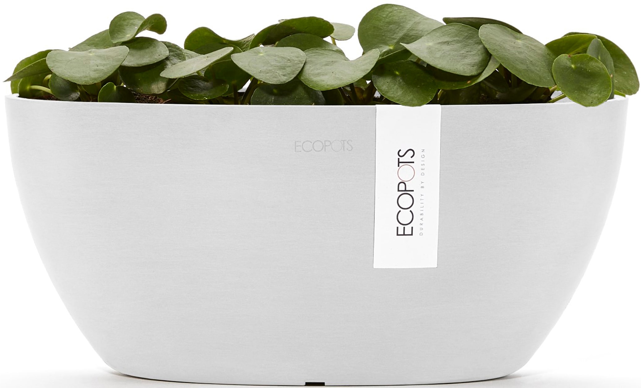 ECOPOTS Blumentopf »Sofia 30 Weiß«, für innen und außen: frostsicher, bruchsicher und lichtbeständig