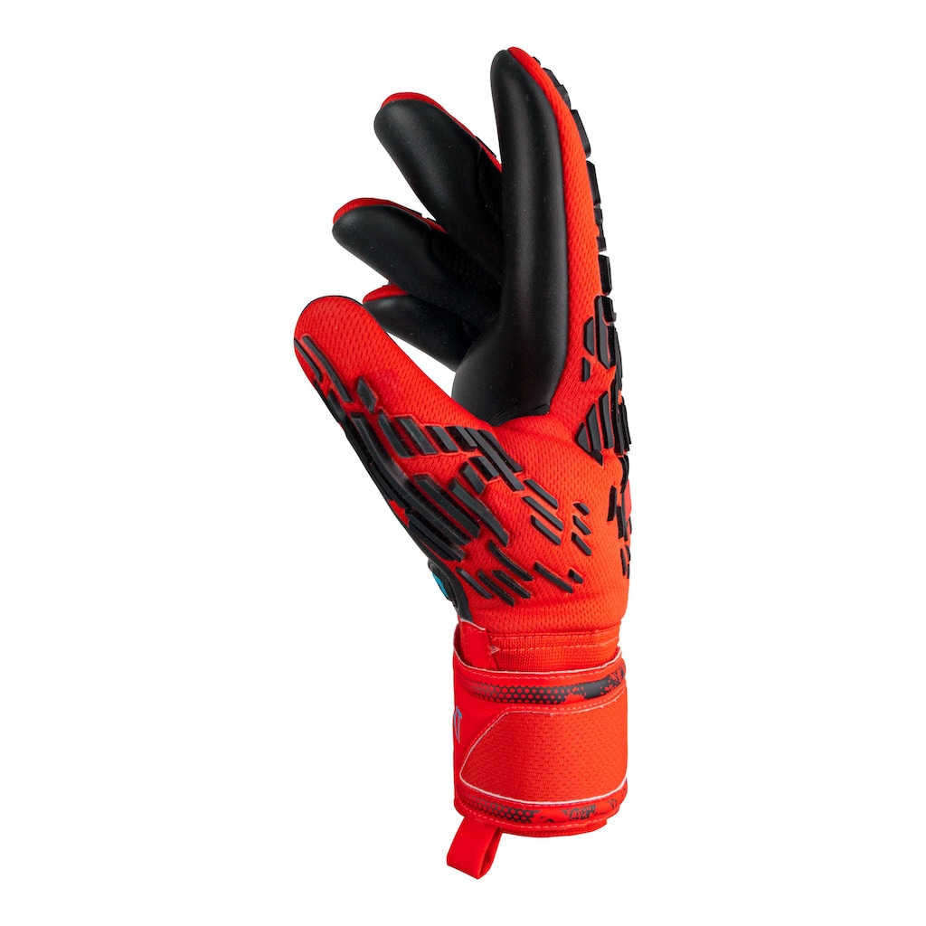 Reusch Torwarthandschuhe »Attrakt Freegel Silver«