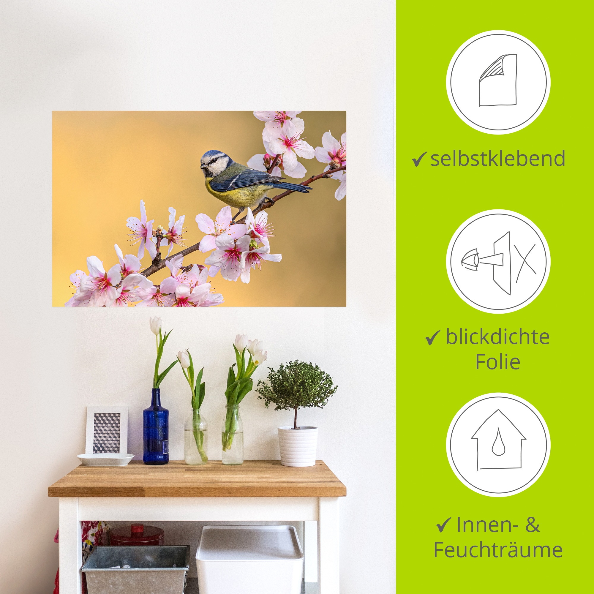 Wandbild ARTLAND "Blaumeise an Mandelblüten", farbe bild(er): pink, B:30cm H:20cm, Bilder, als Alubild, Leinwandbild, Poster, Wandaufkleber in verschied. Größen 2