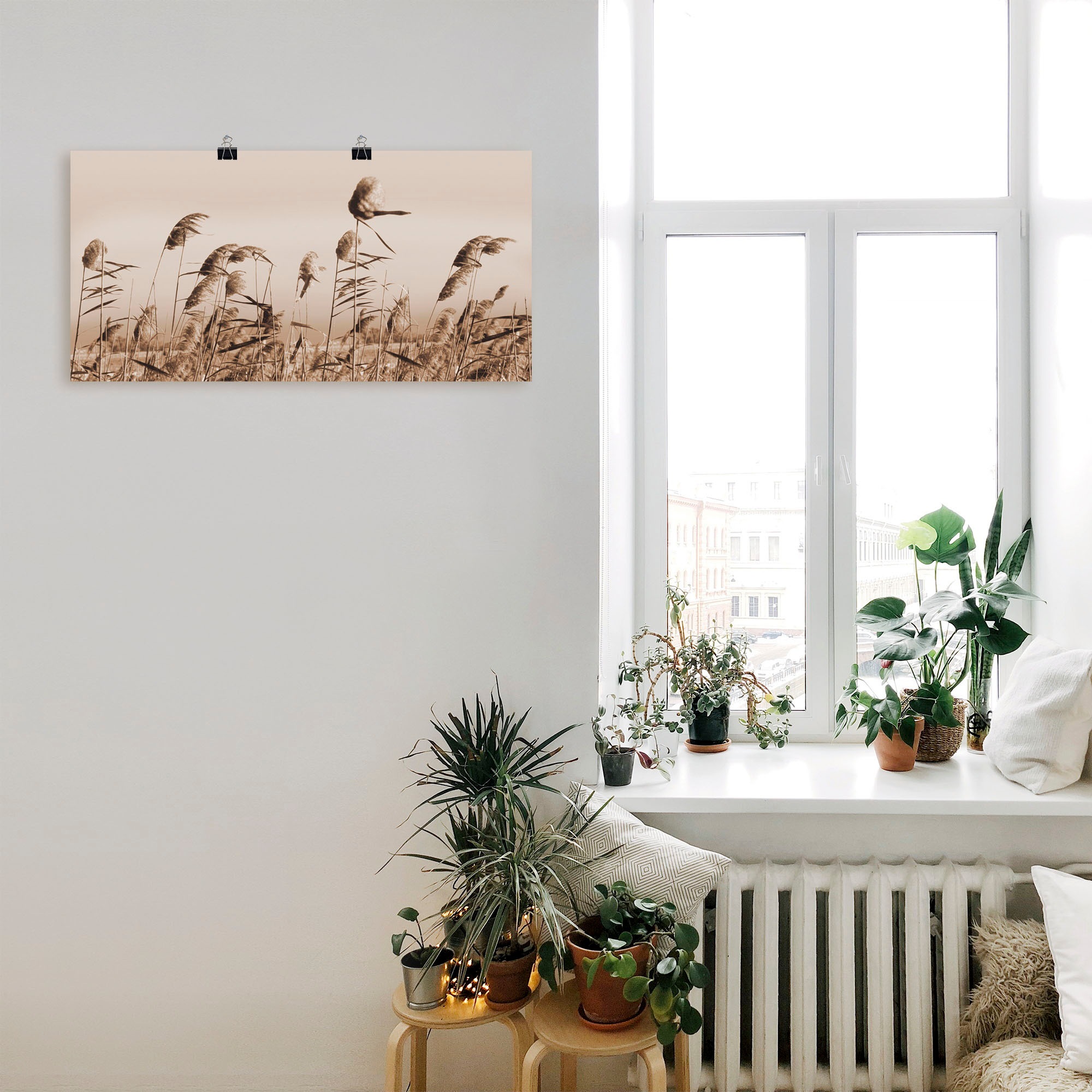 Artland Wandbild "Gräser", Gräser, (1 St.), als Alubild, Outdoorbild, Leinw günstig online kaufen