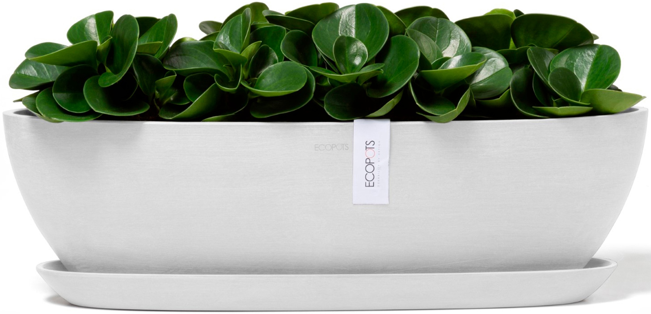 ECOPOTS Blumentopf »Sofia lang 56 Weiß«, für innen und außen: frostsicher, bruchsicher und lichtbeständig